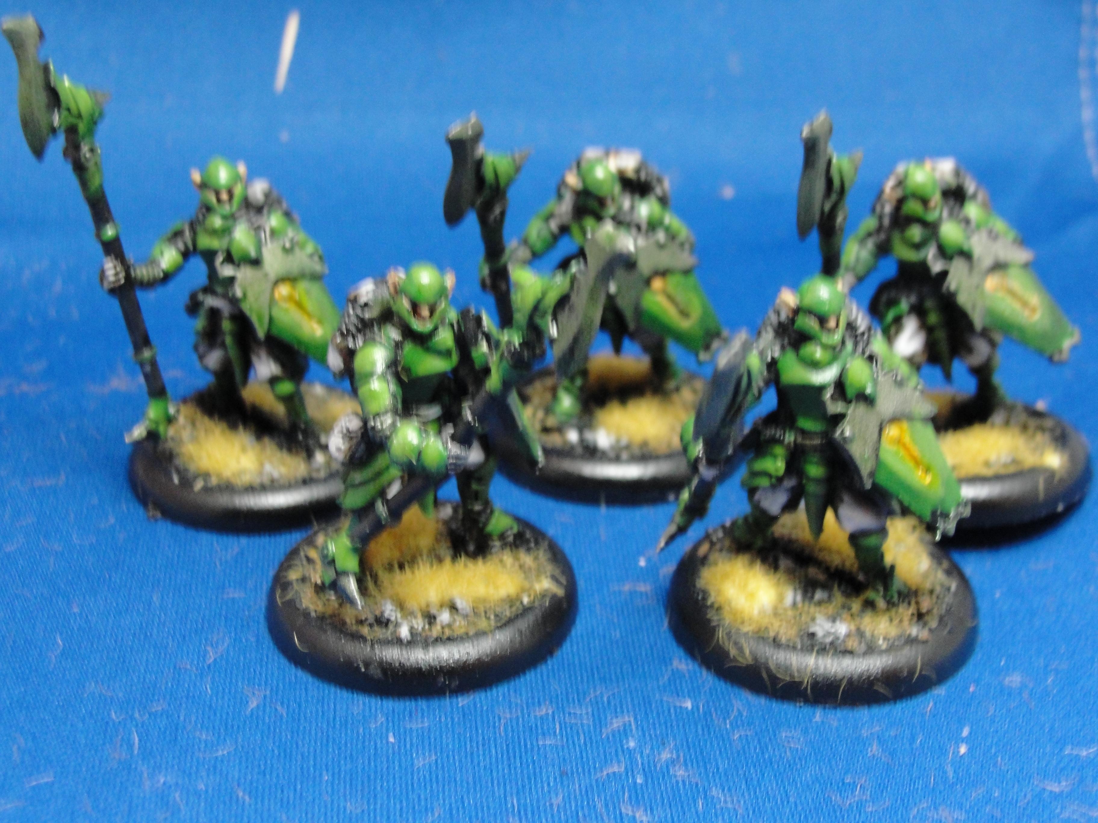 Warmachine, Retribution of Scyrah, Houseguard Halberdiers