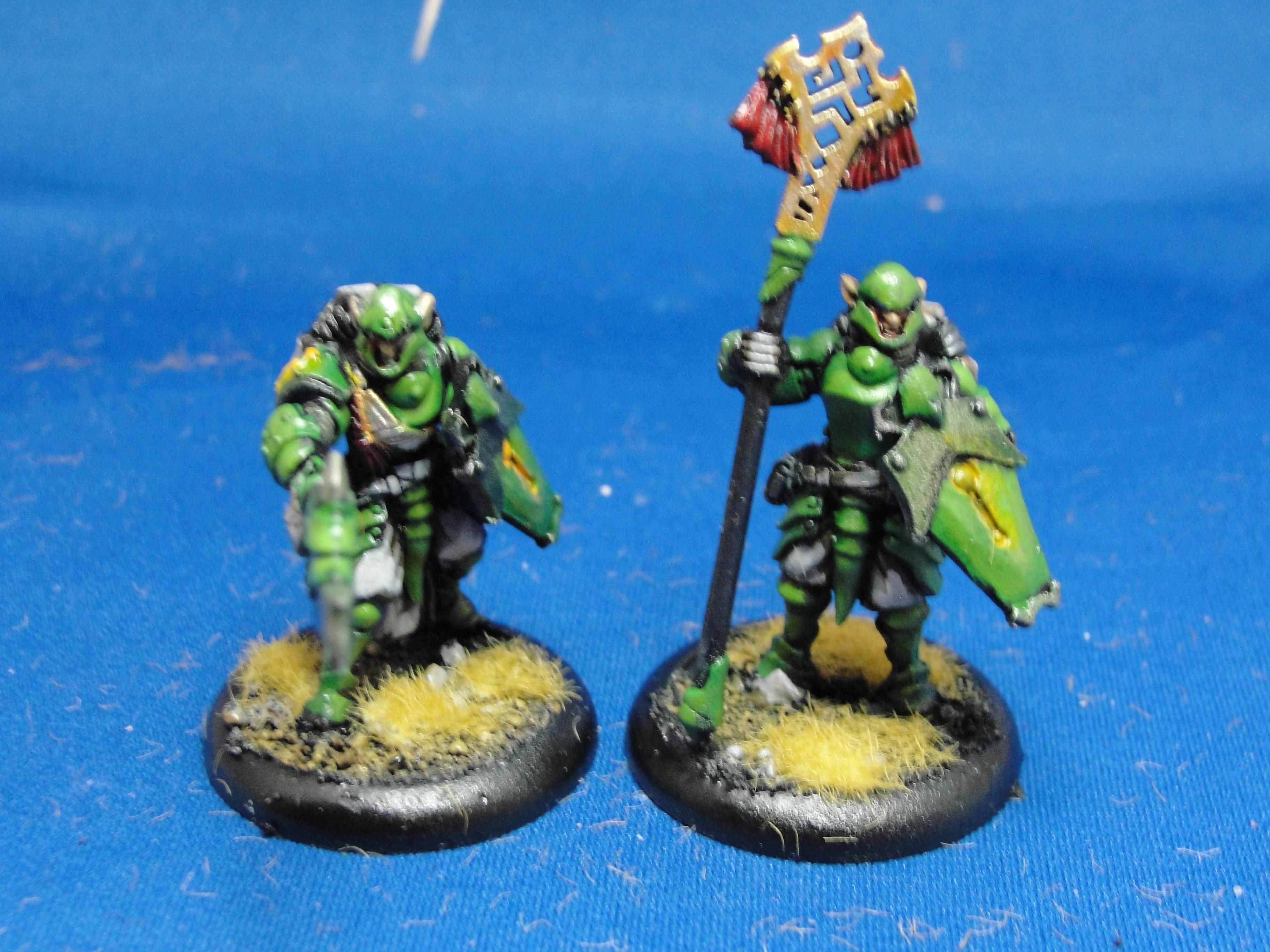 Warmachine, Retribution of Scyrah, Houseguard Halberdiers