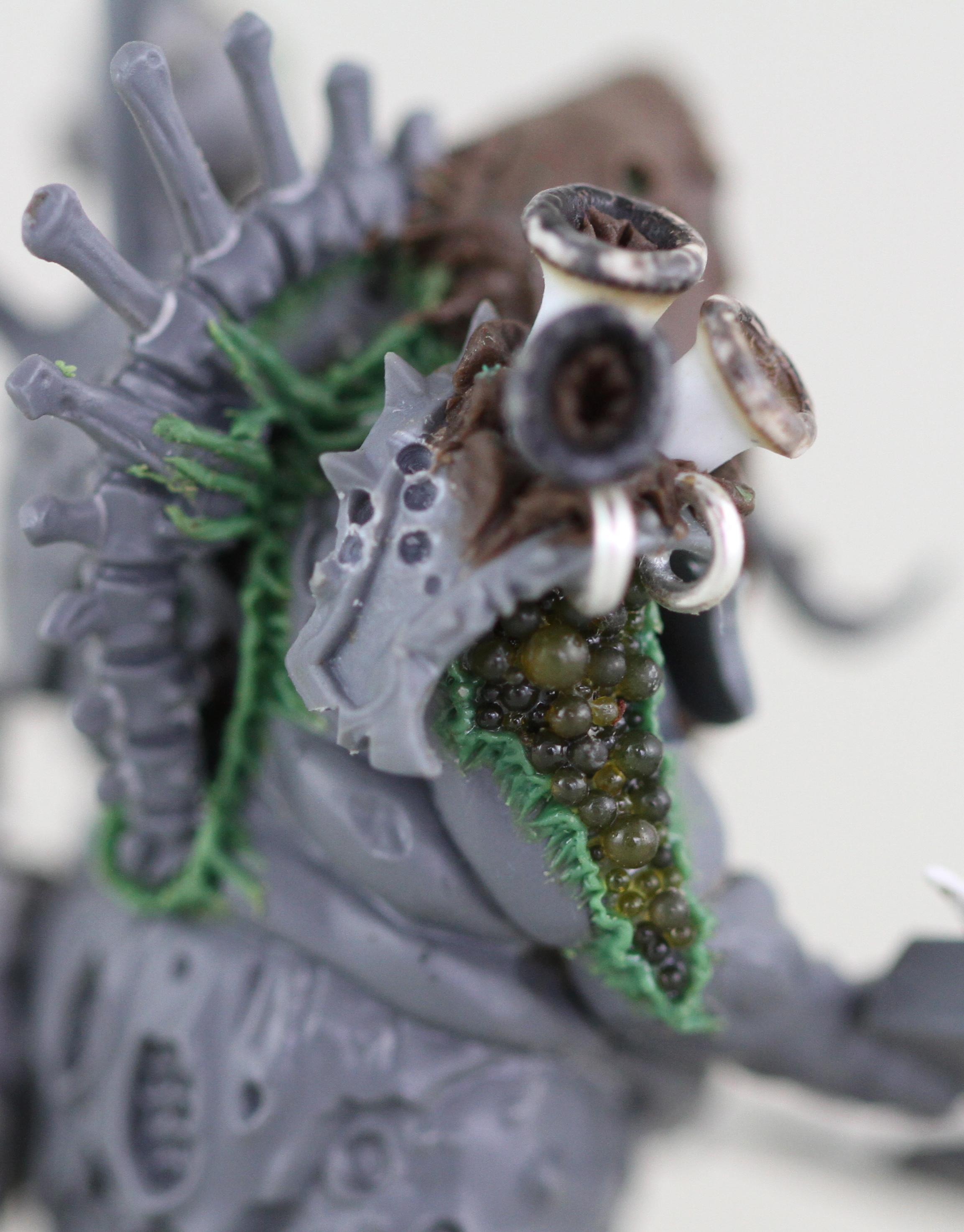 Chaos, Herald, Lord, Nurgle