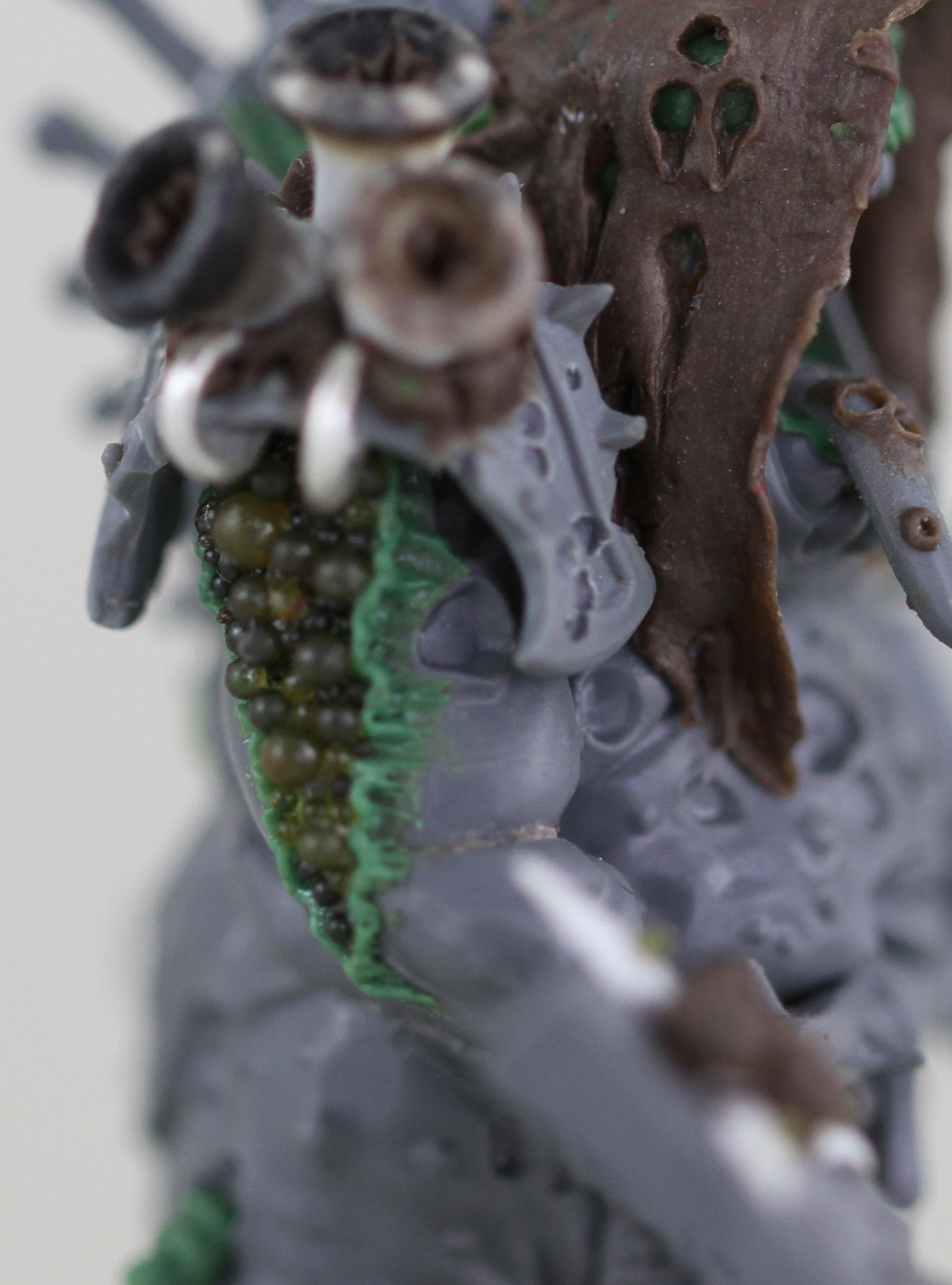 Chaos, Herald, Lord, Nurgle