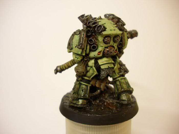 typhus back