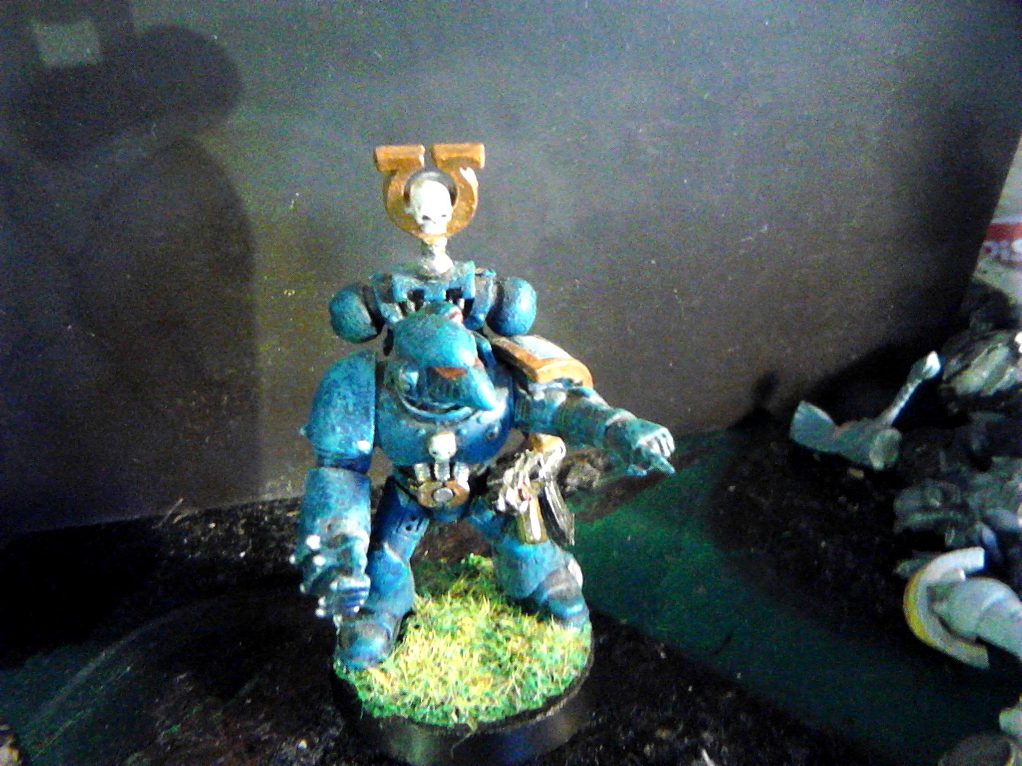 Barmy Bakers Miniatures, Space Marines, Ultramarines, Warhammer 40,000
