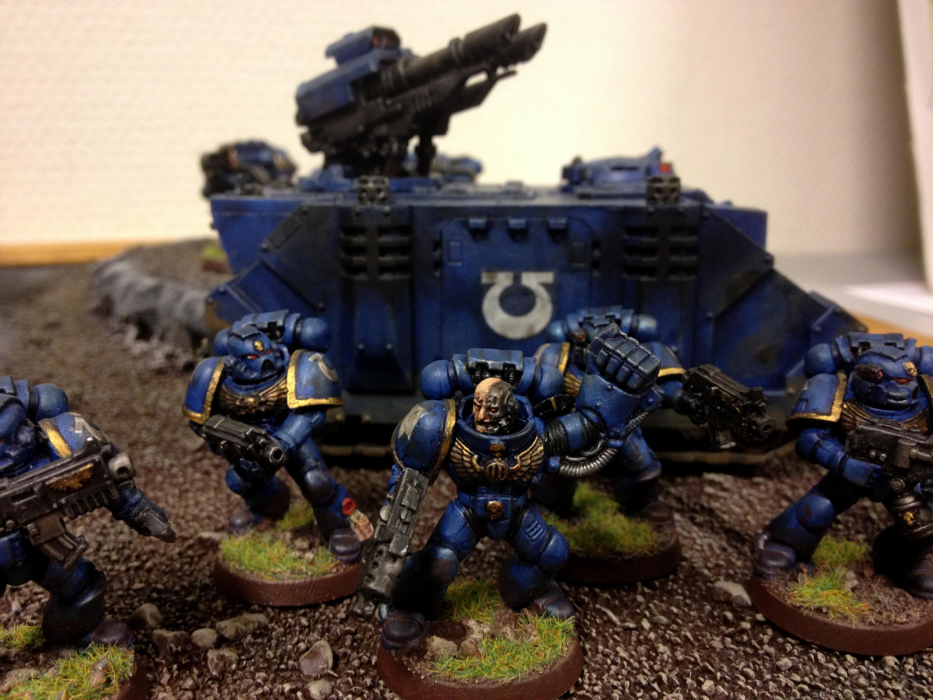Army Of The Year: Ultramarines Display