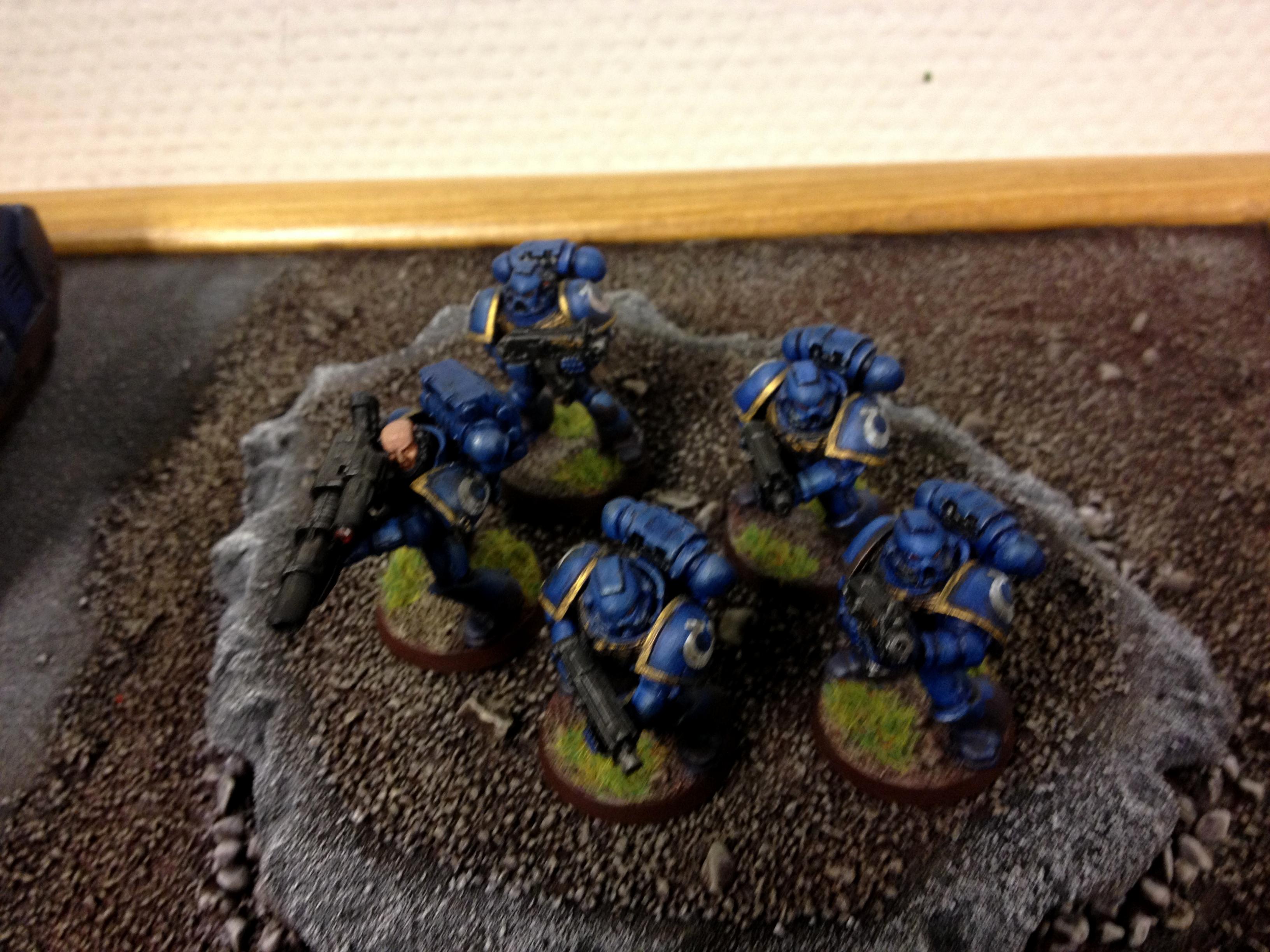 Army Of The Year: Ultramarines Display