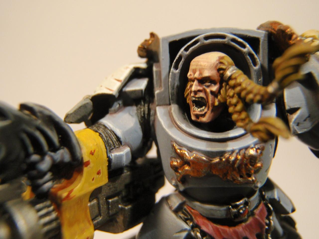 Space Wolves, Terminator Armor, Wolf Guard