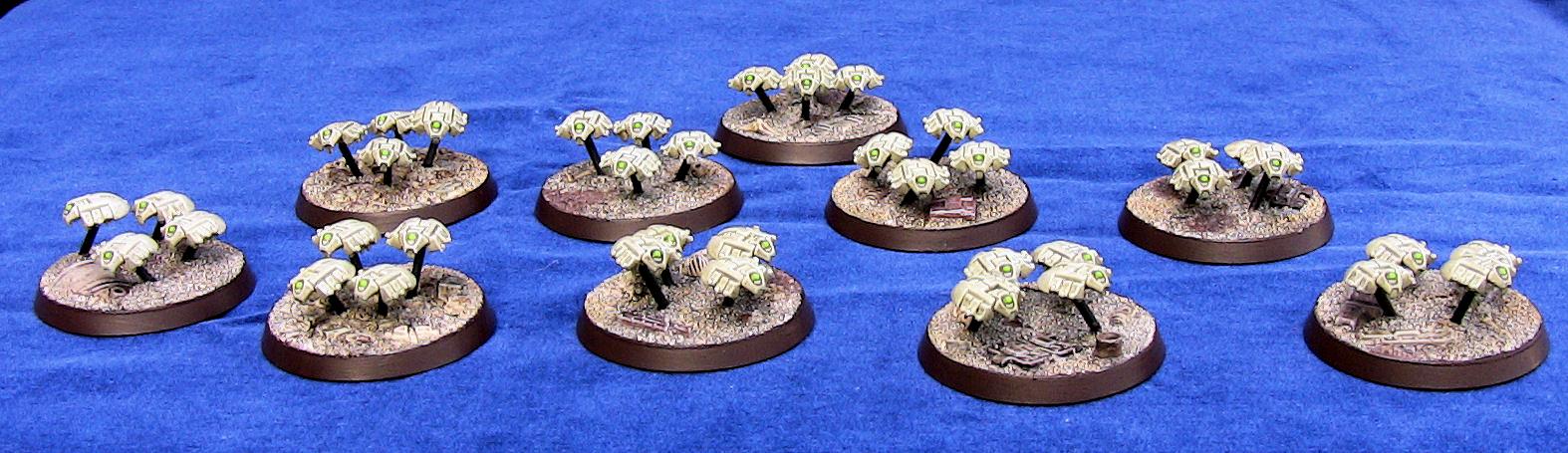 Scarabs