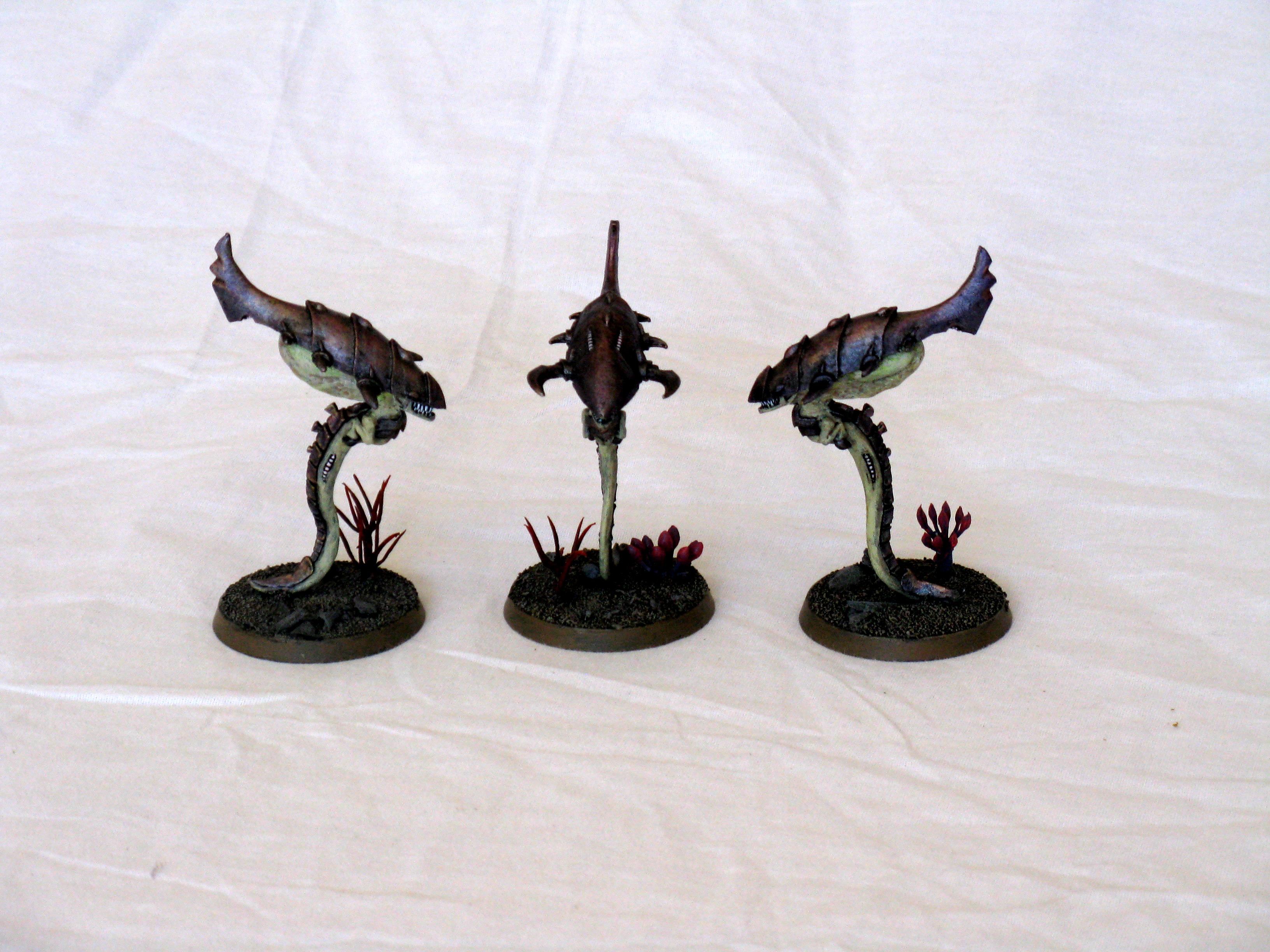 2nd version of the older Zoanthropes