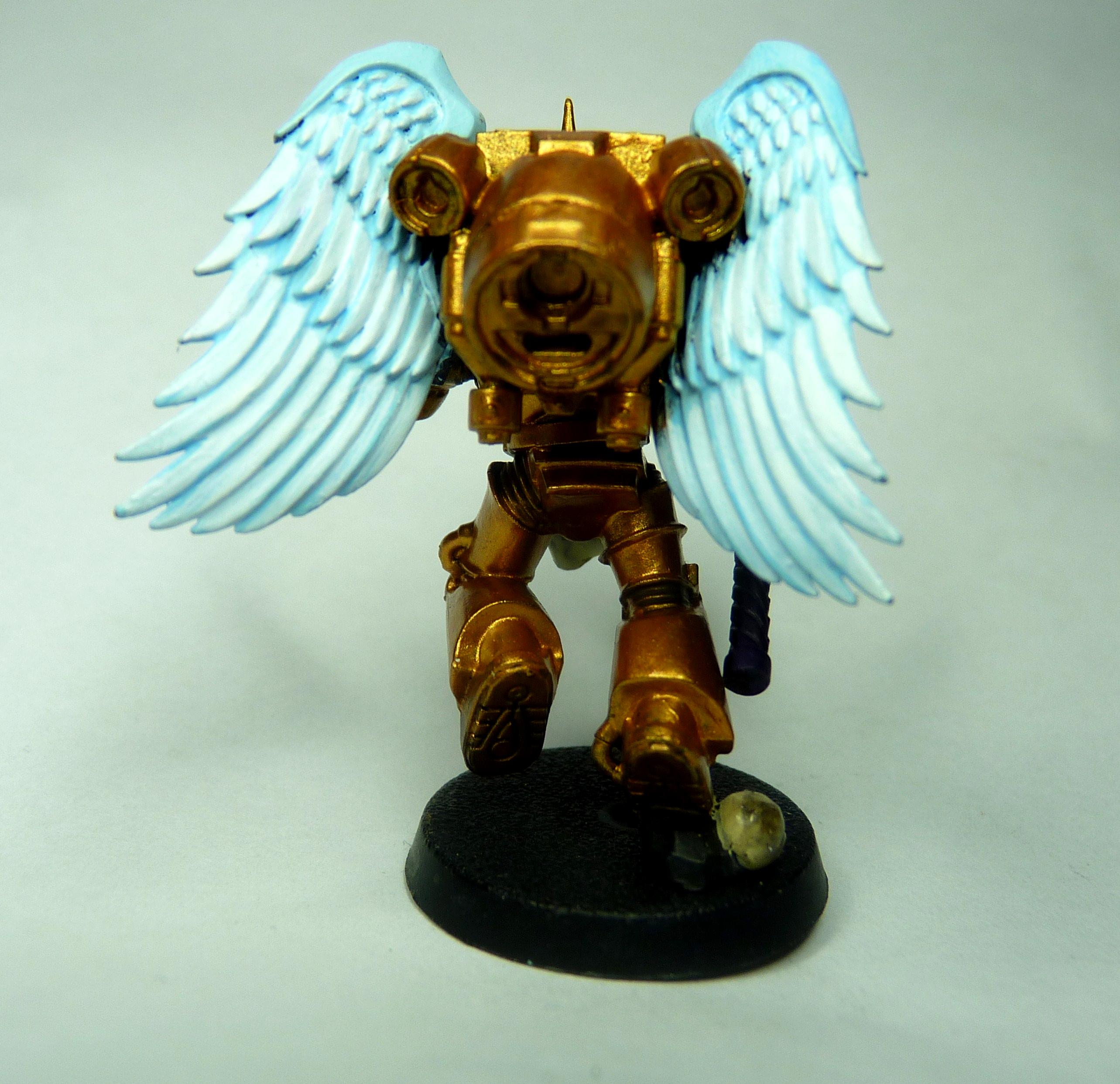 Blood Angels, Sanguinary Guard
