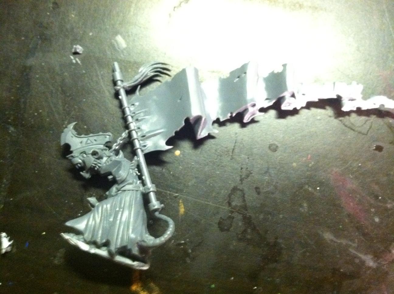 BSB WIP, basically took the Warlord from Island of Blood and glued the banner from the doomwheel simple yet effective