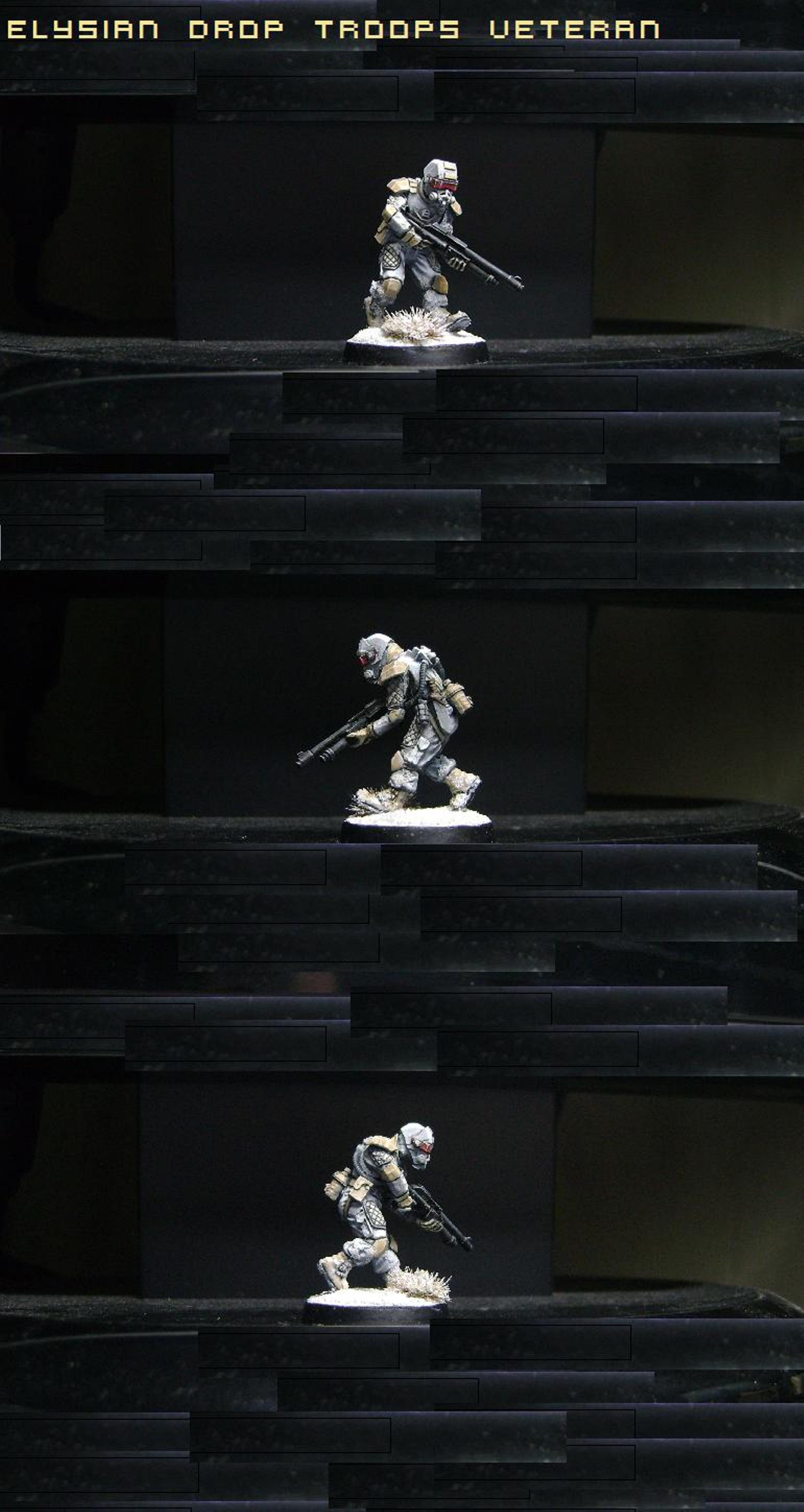 Drop Troops, Elysian, Imperial Guard, Shotgun, Veteran