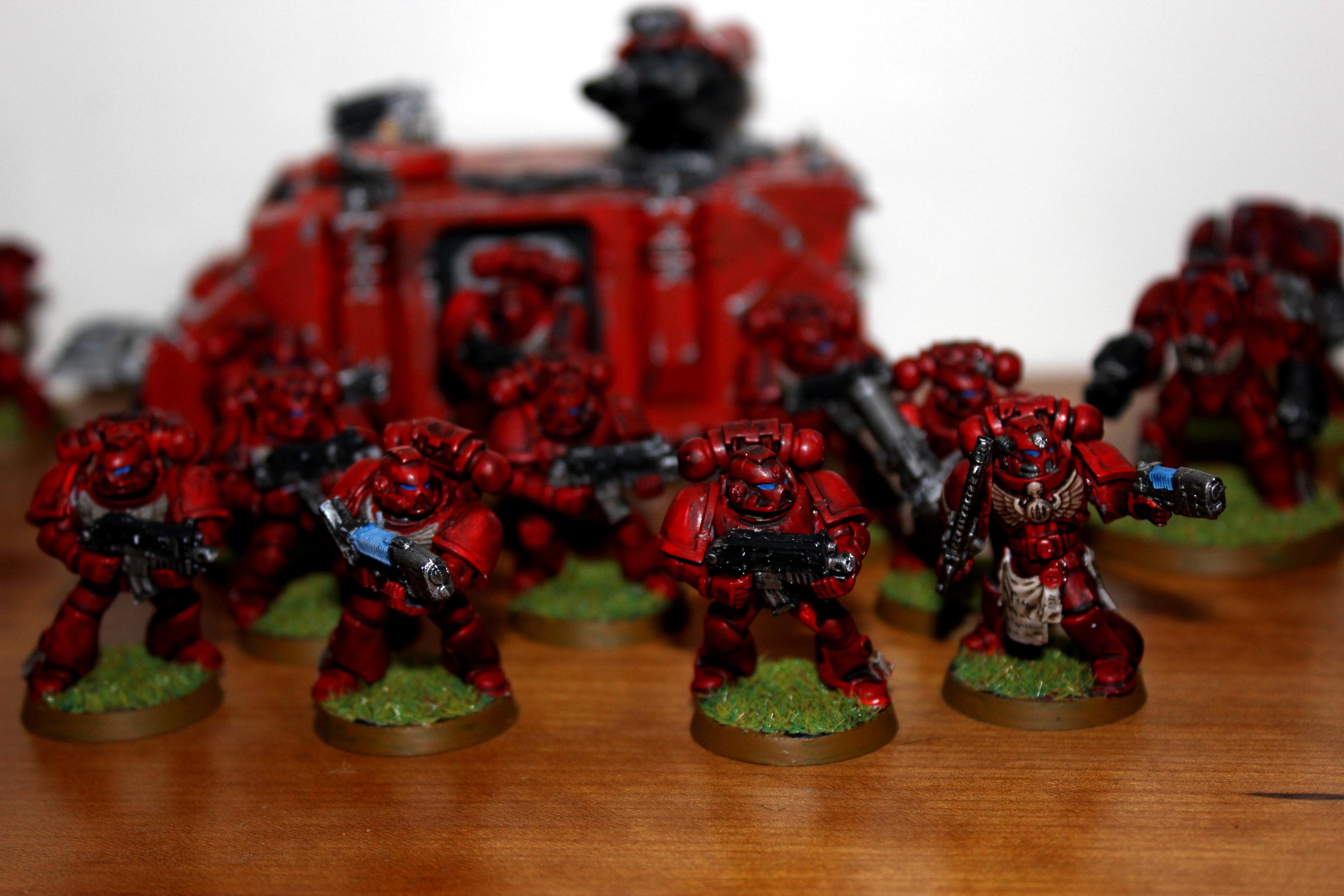 Angel, Blood, Death Company, Dreadnought, Land Raider, Predator, Razorback, Sanguinary Guard, Space, Space Marines, Tactical, Tank, Terminator Armor, Warhammer 40,000, Warhammer Fantasy