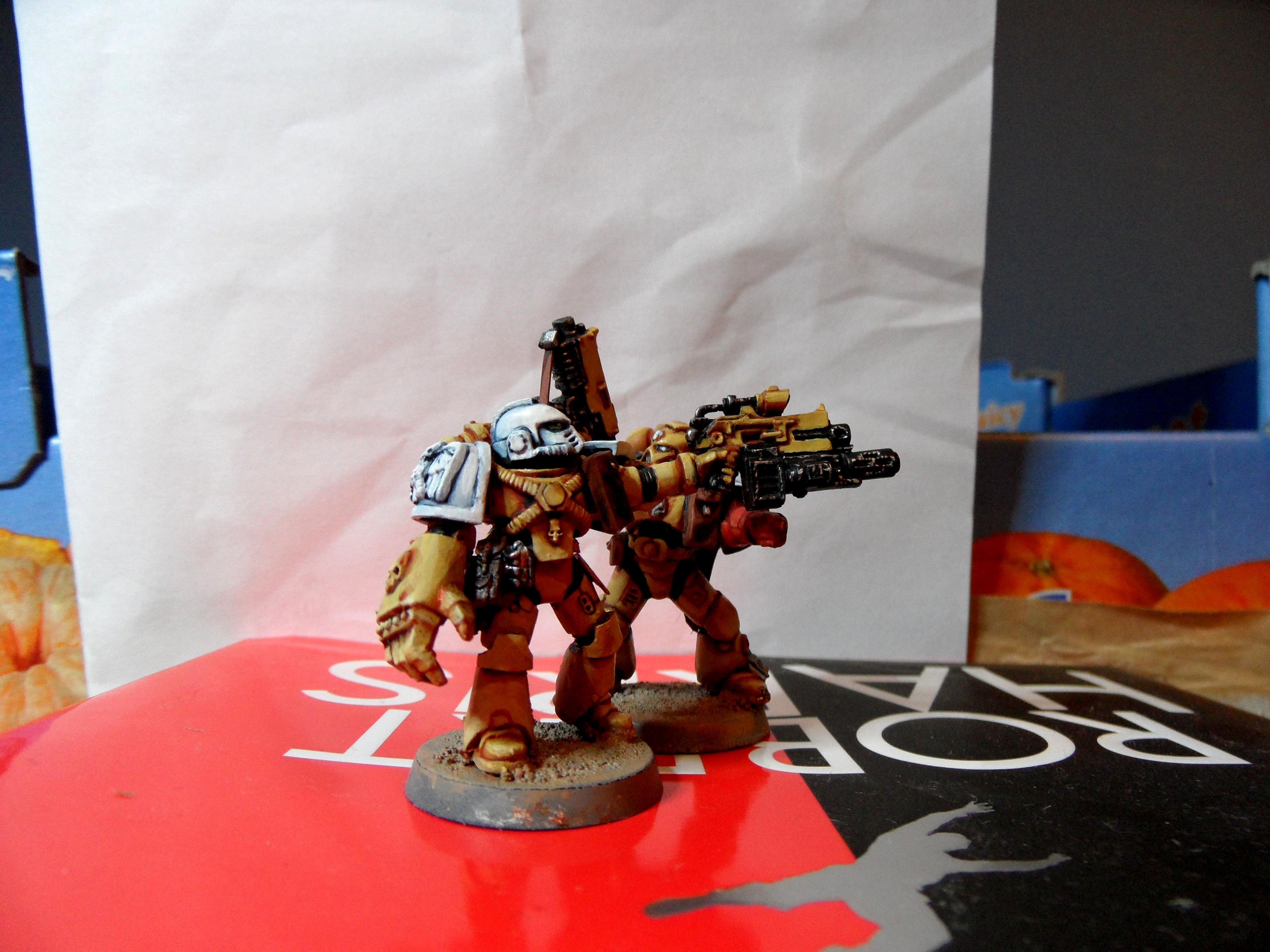Space Marines, Sternguard, Veteran