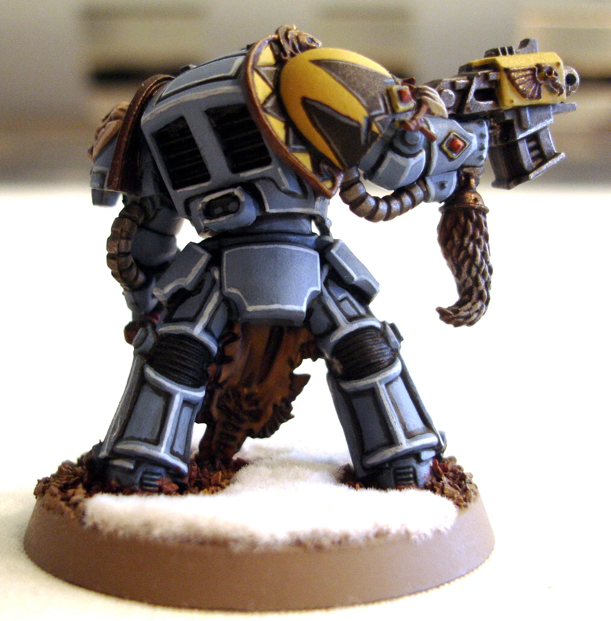 Space Wolves, Terminator Armor, Wolf, Wolf Terminator