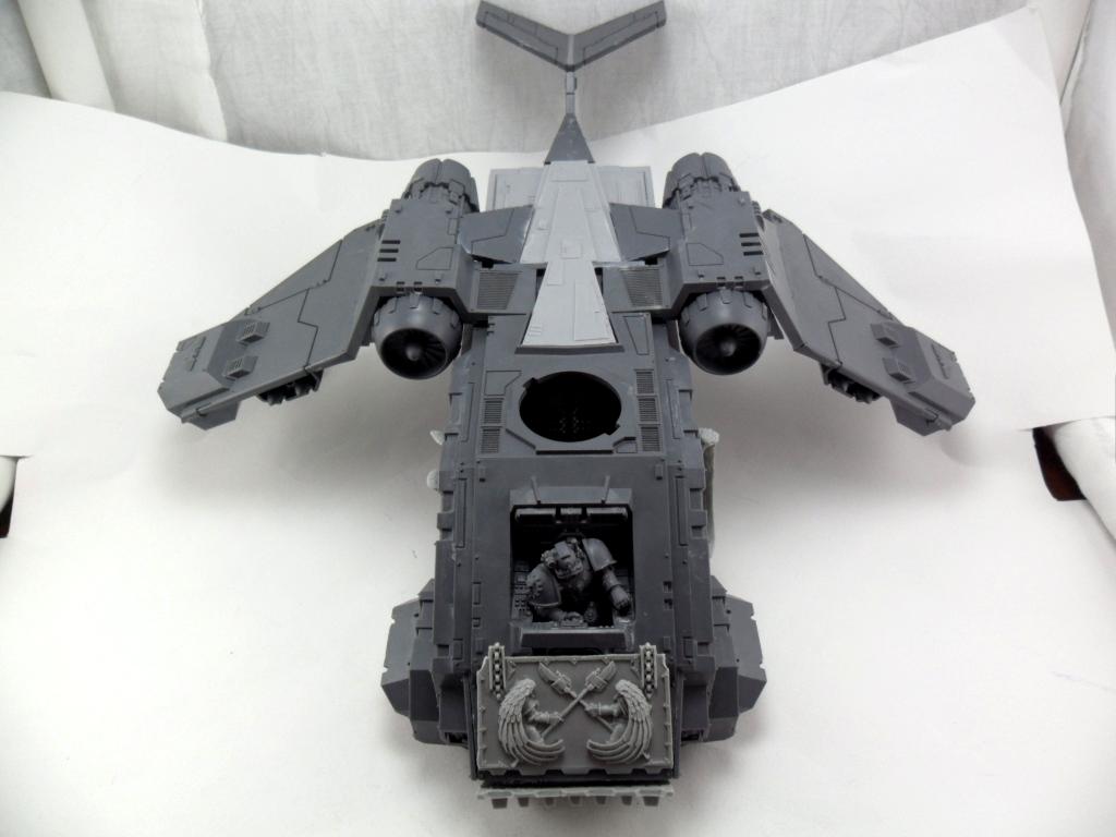 Salamanders, SR 002