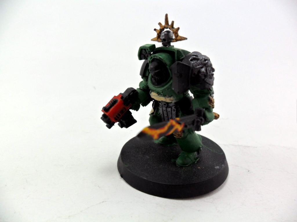 Salamanders, Term Sarge 01