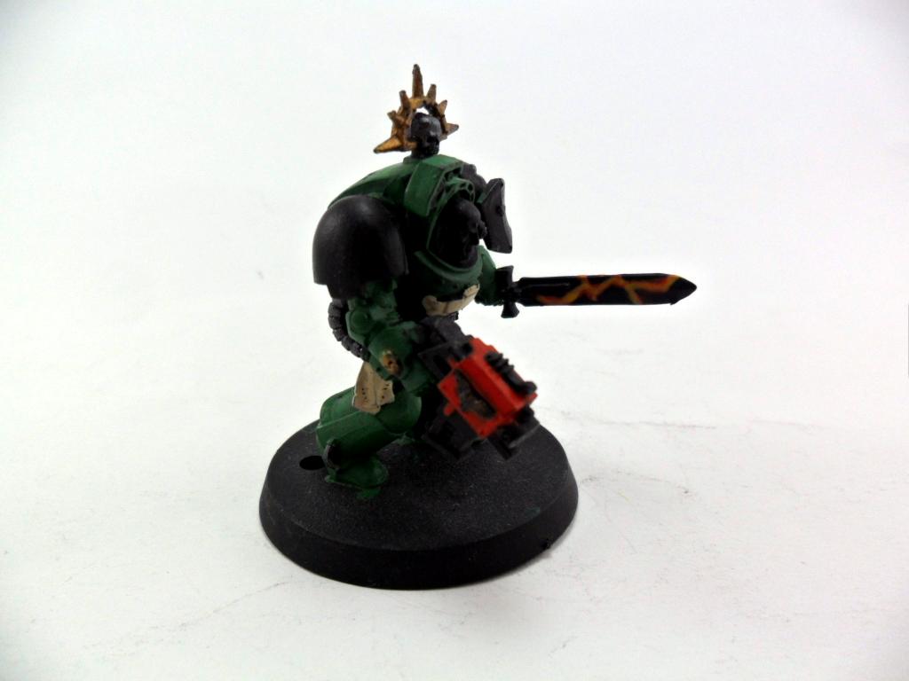 Salamanders, Term Sarge 02
