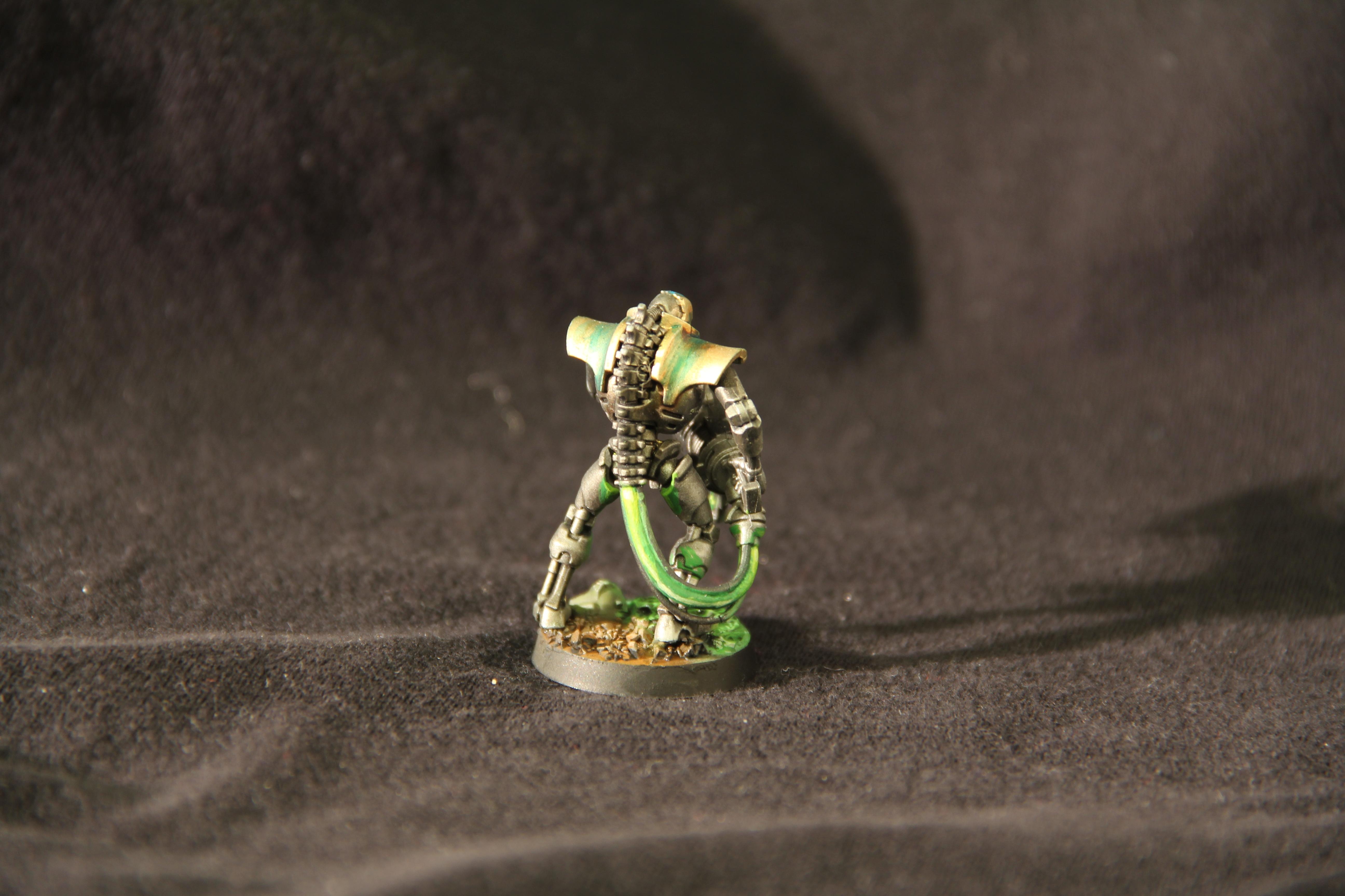 Immortal, Necrons, Immortal Rear