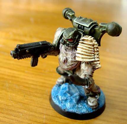 Death Guard, Plague Marines