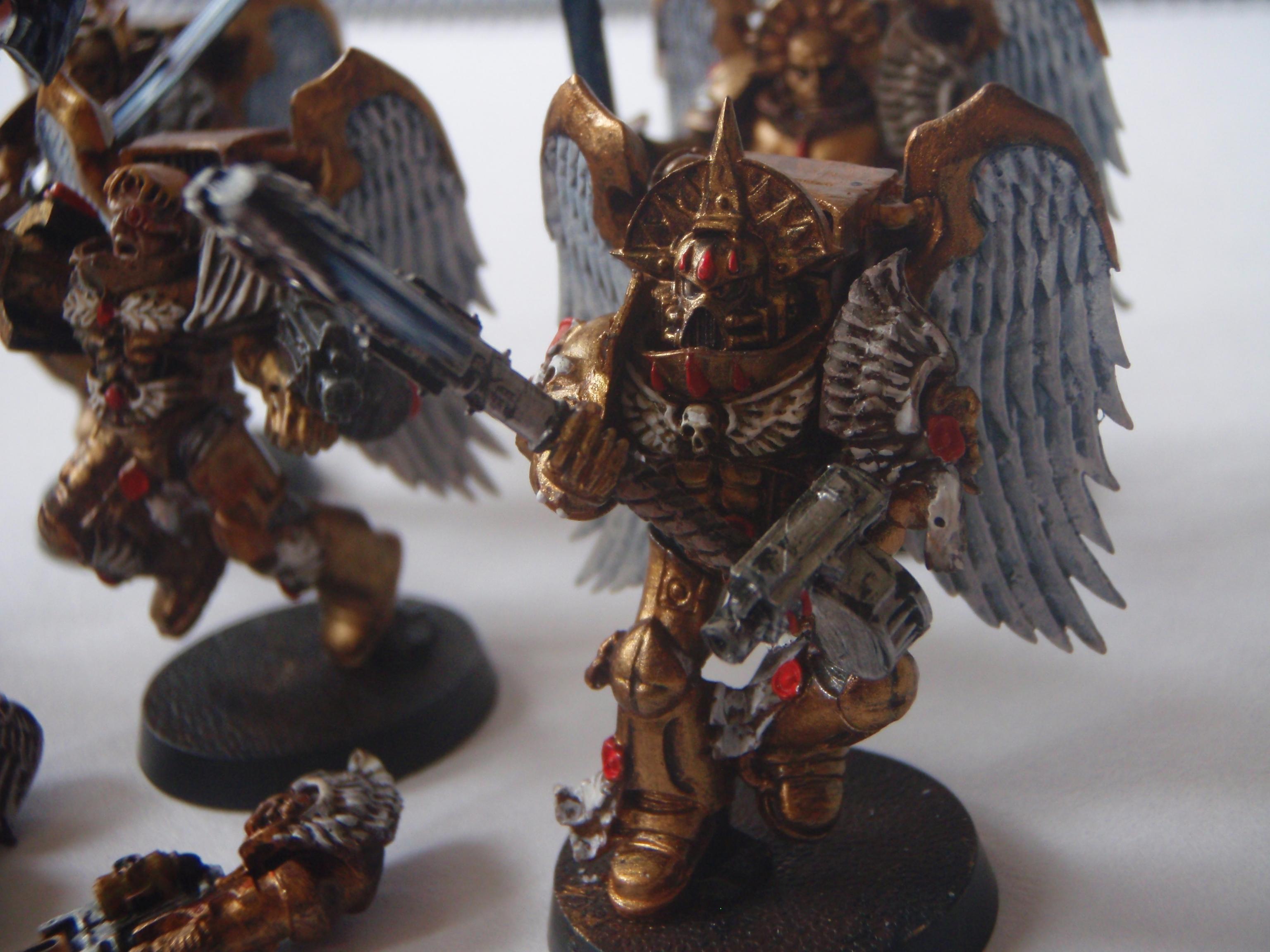 Blood Angels, Gold, Sanguinary Guard, Space Marines