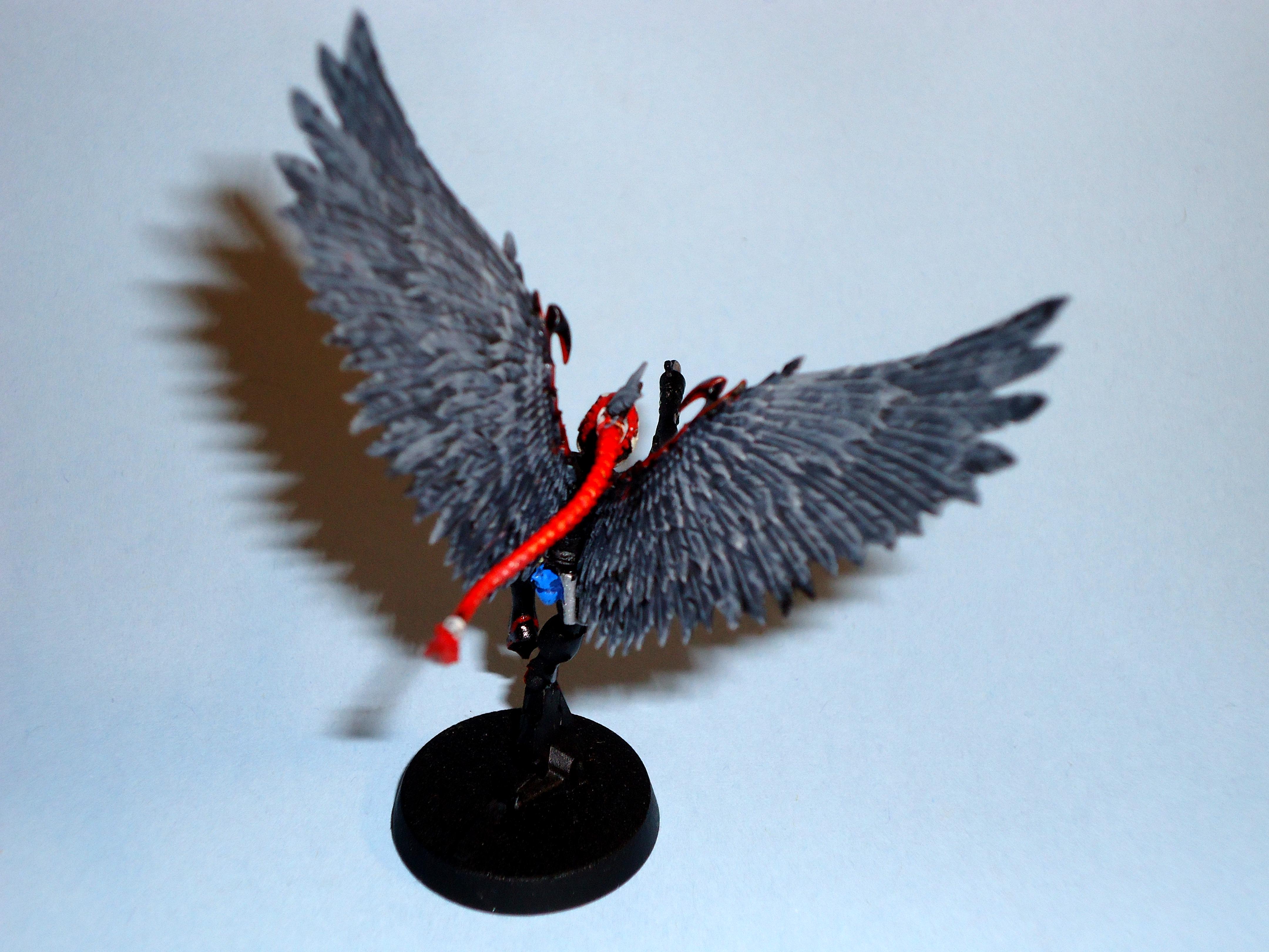 Dark Eldar, Scourge,  scourge rear view