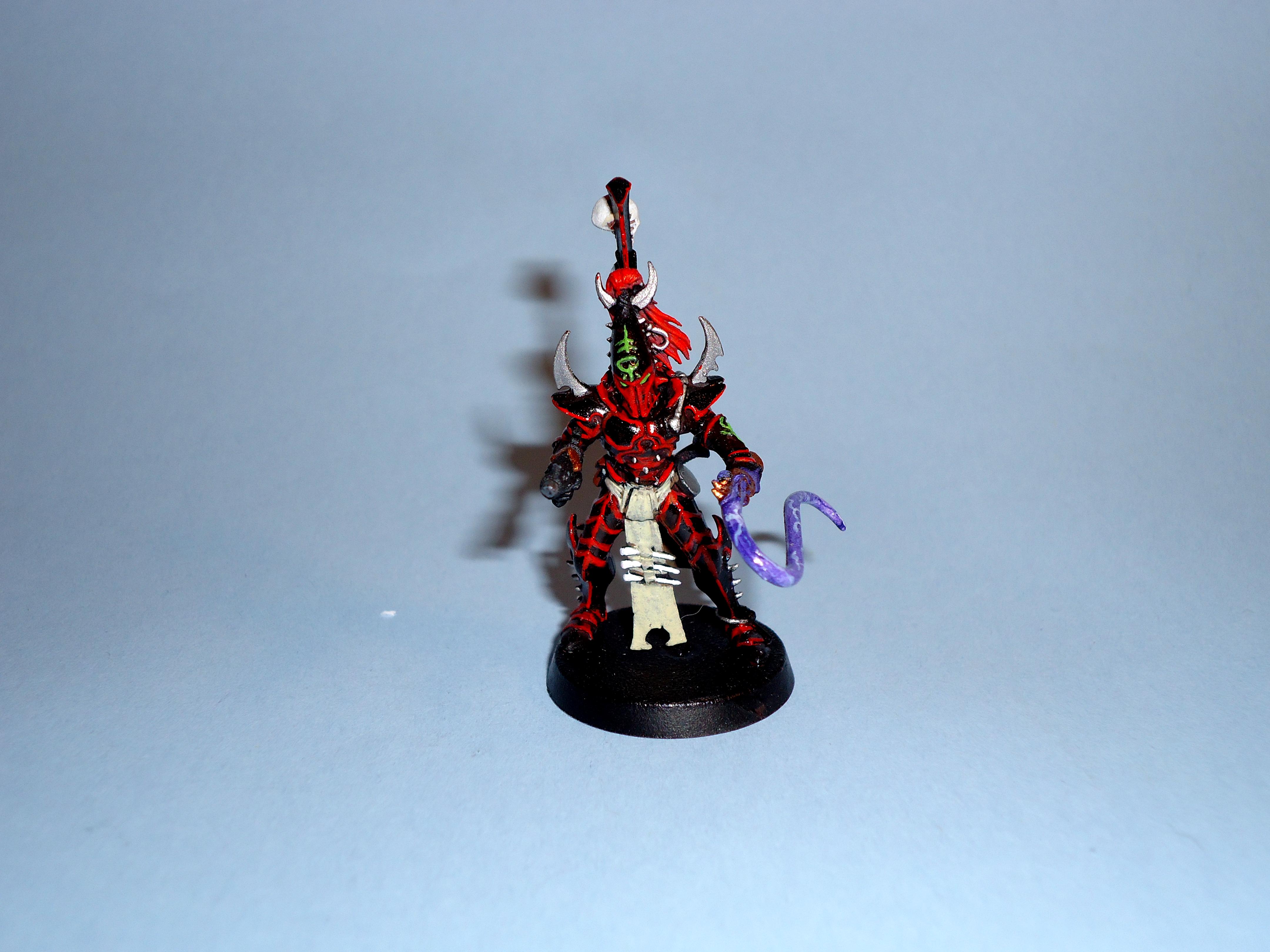 Dark Eldar, Warriors