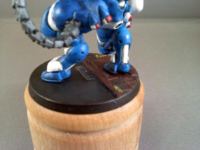 Infinity, Nomads, Szalamandra