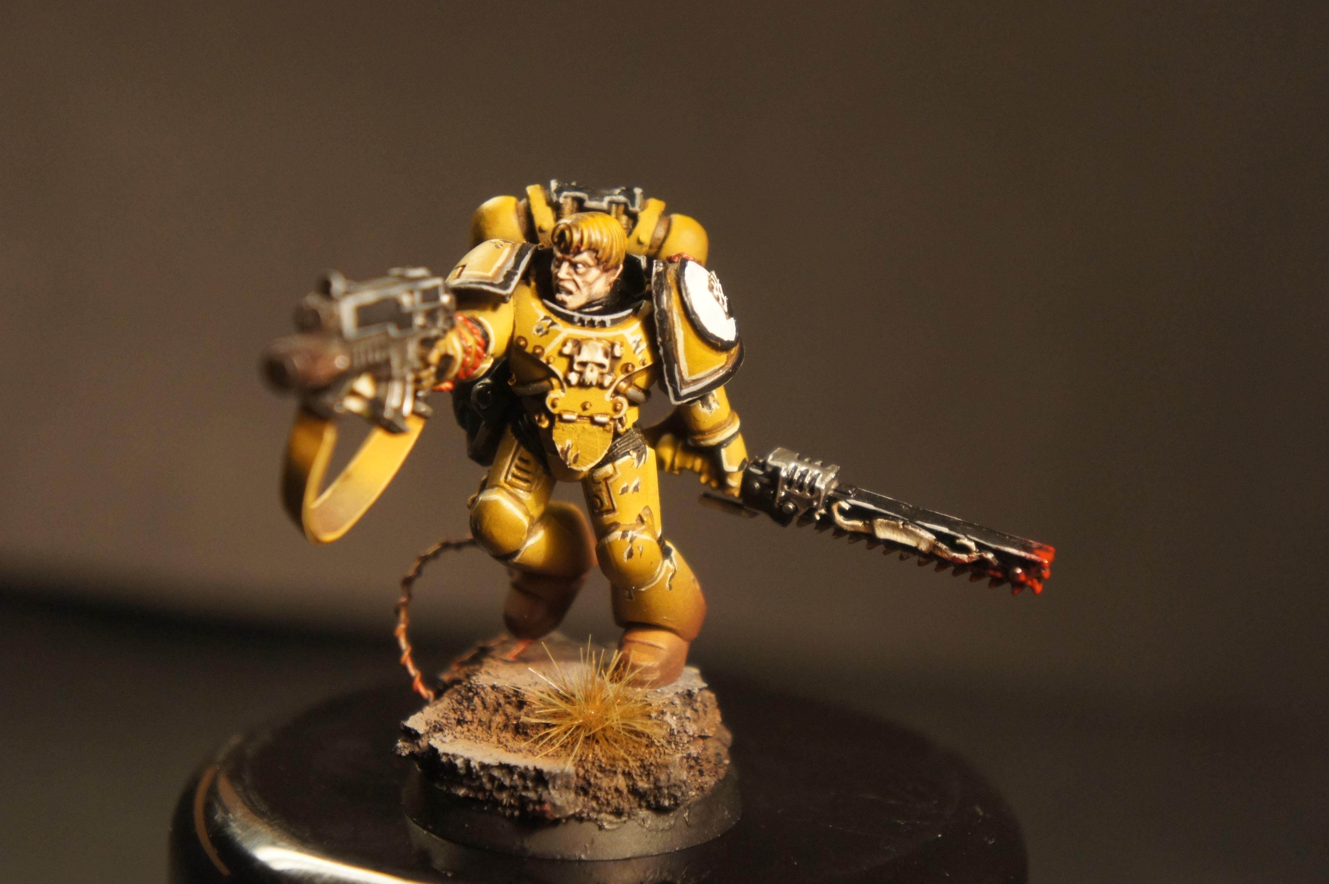Imperial Fists, Space Marines