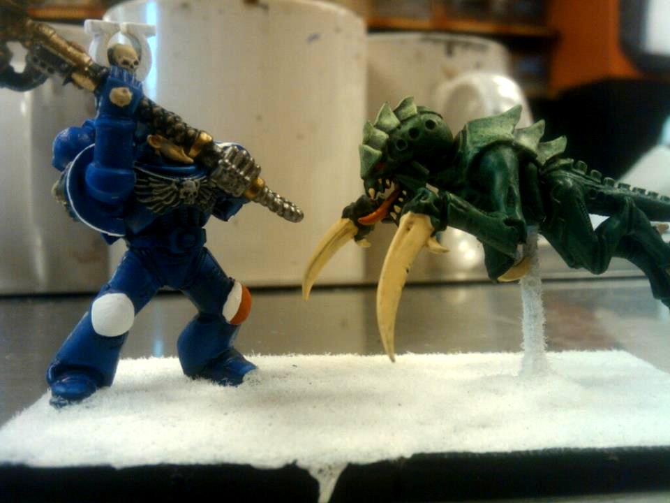 Diorama, Tyranids, Ultramarines