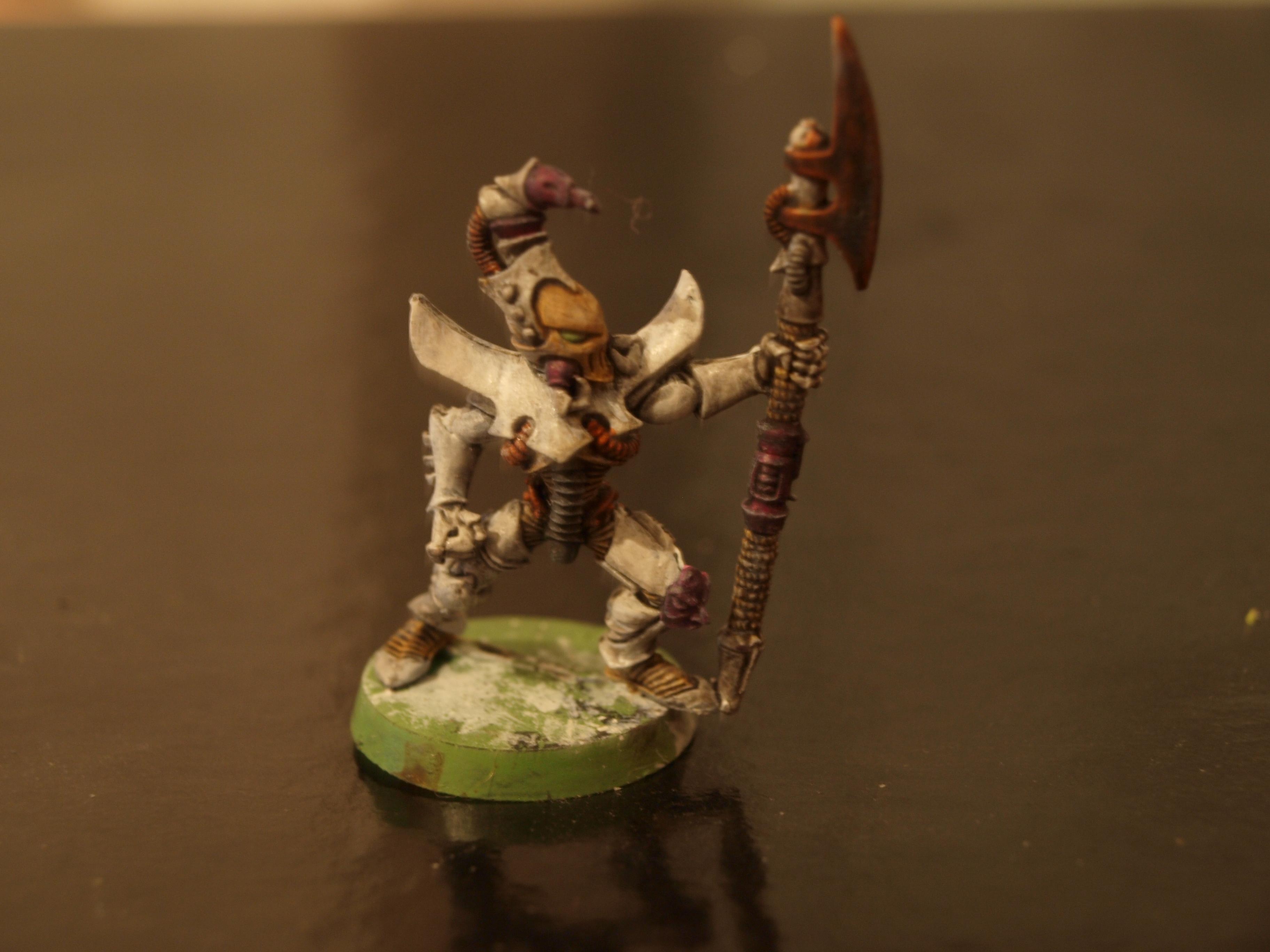 Dark Eldar, White
