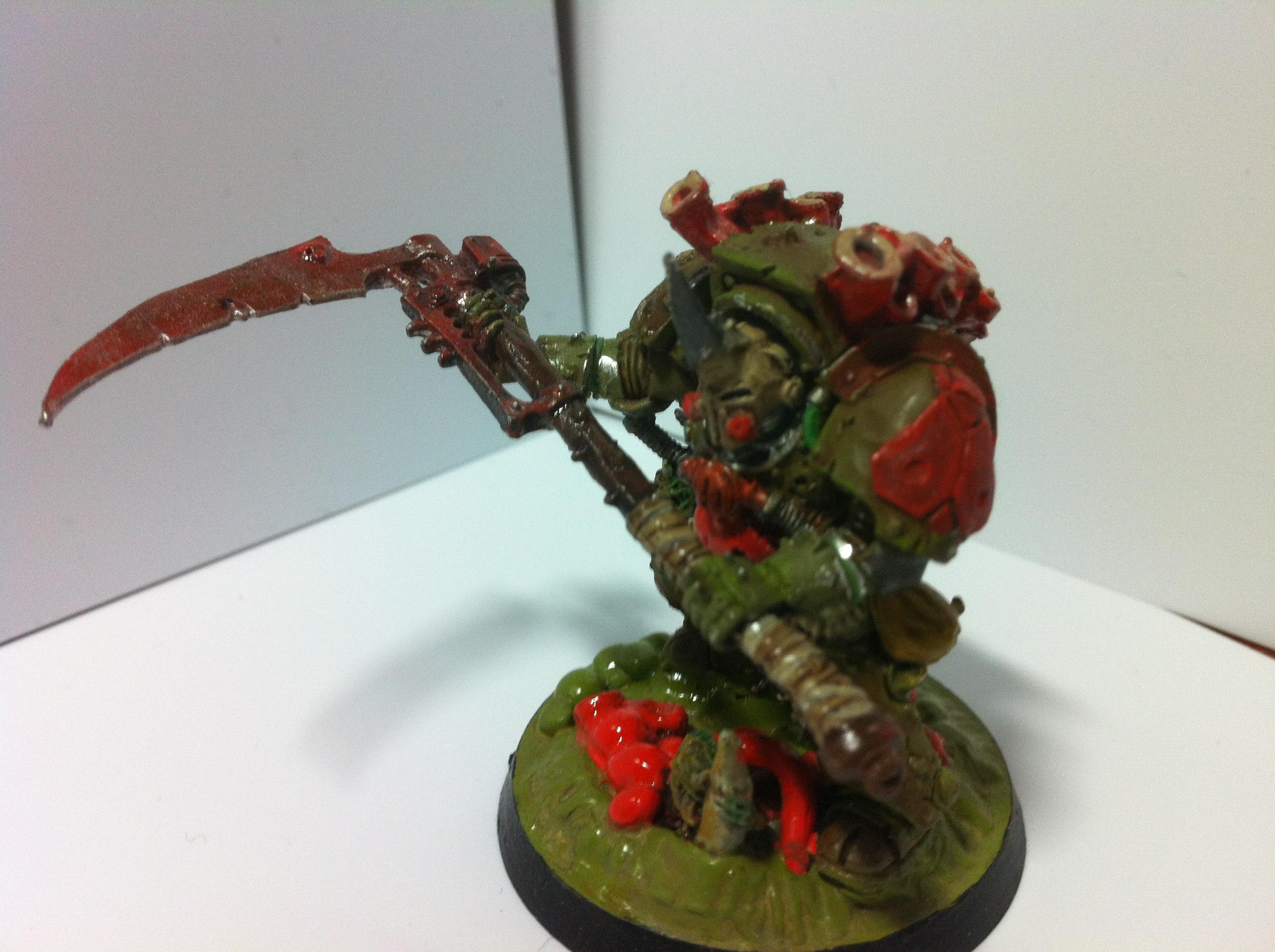 Typhus
