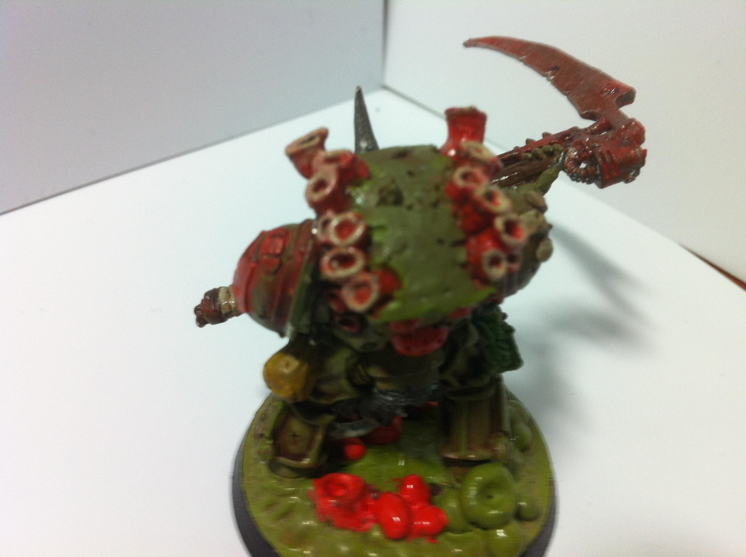 Typhus back