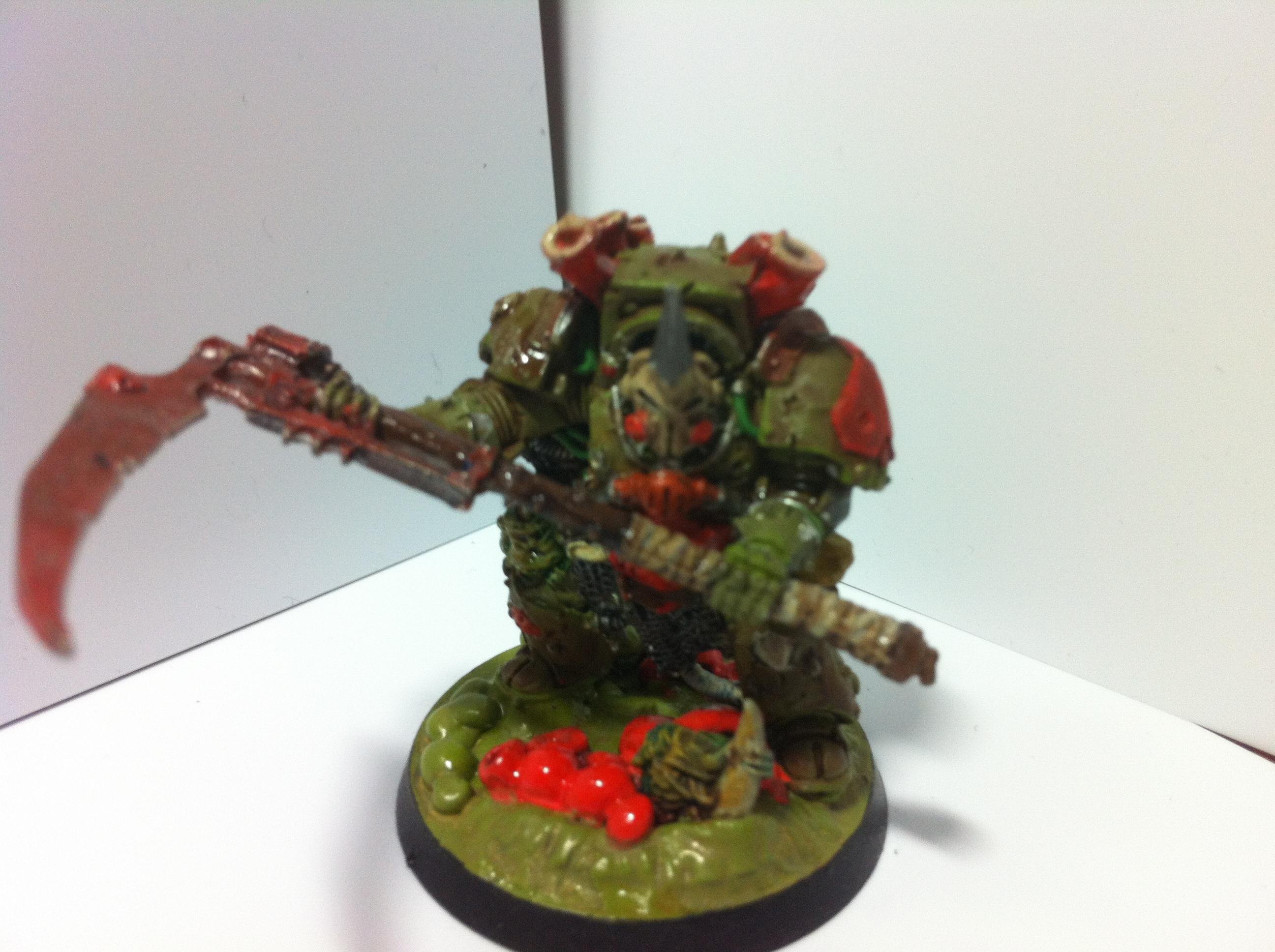 Typhus