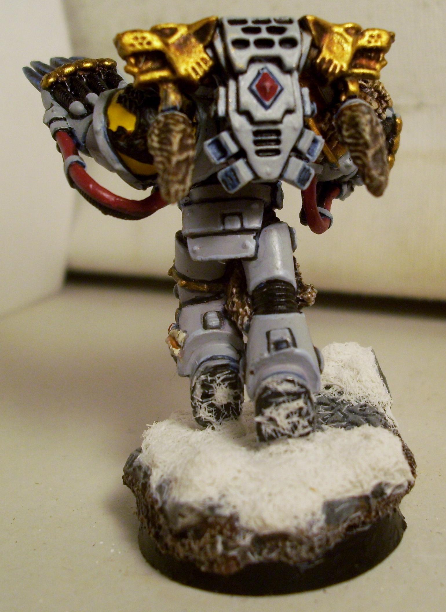 Space Wolf Guard With Lightning Claws 4