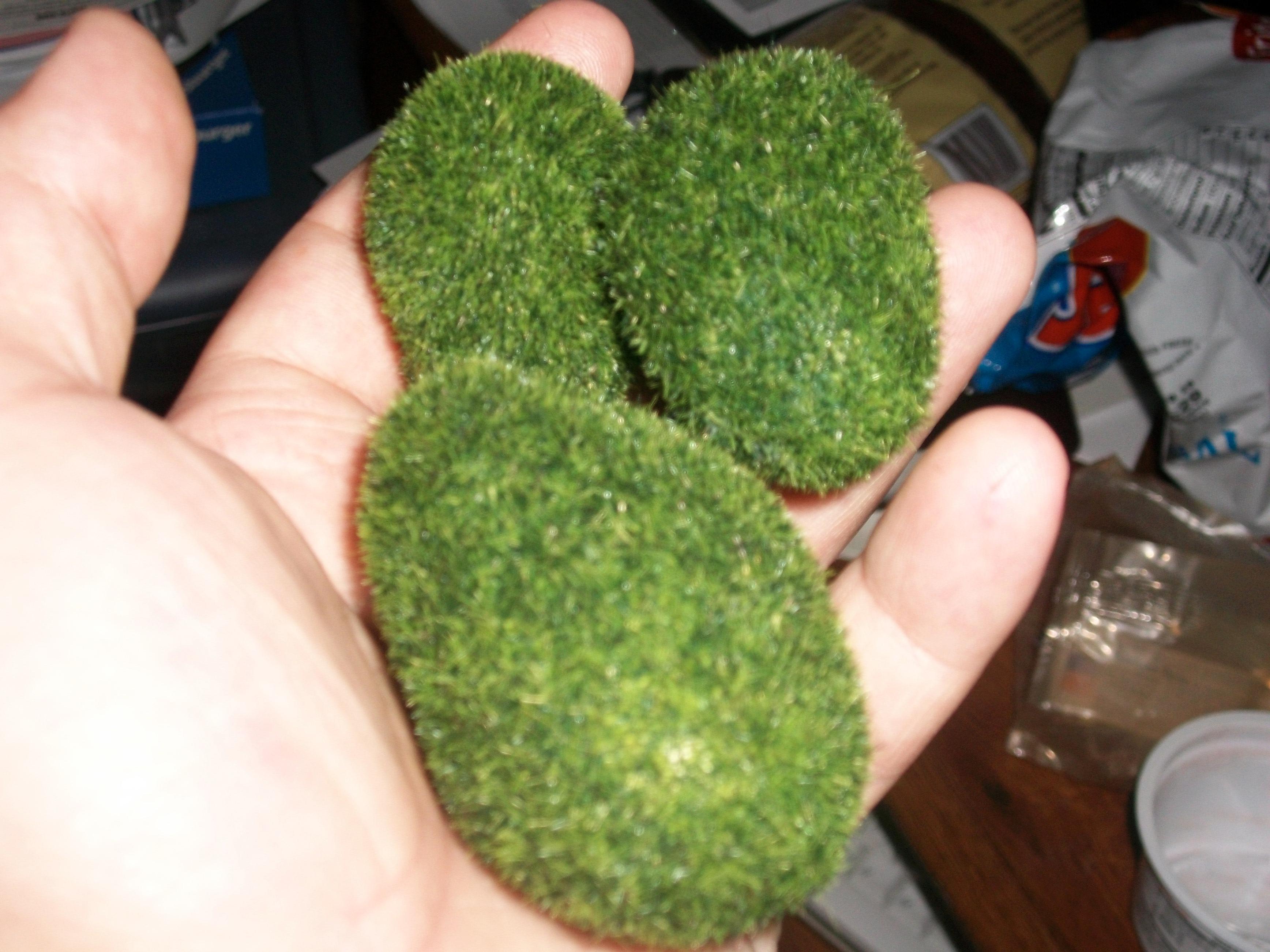 Hey fuzzy rocks.  They'll be cool for warhammer terrain.  Wait they are made of styrofoam... not as cool