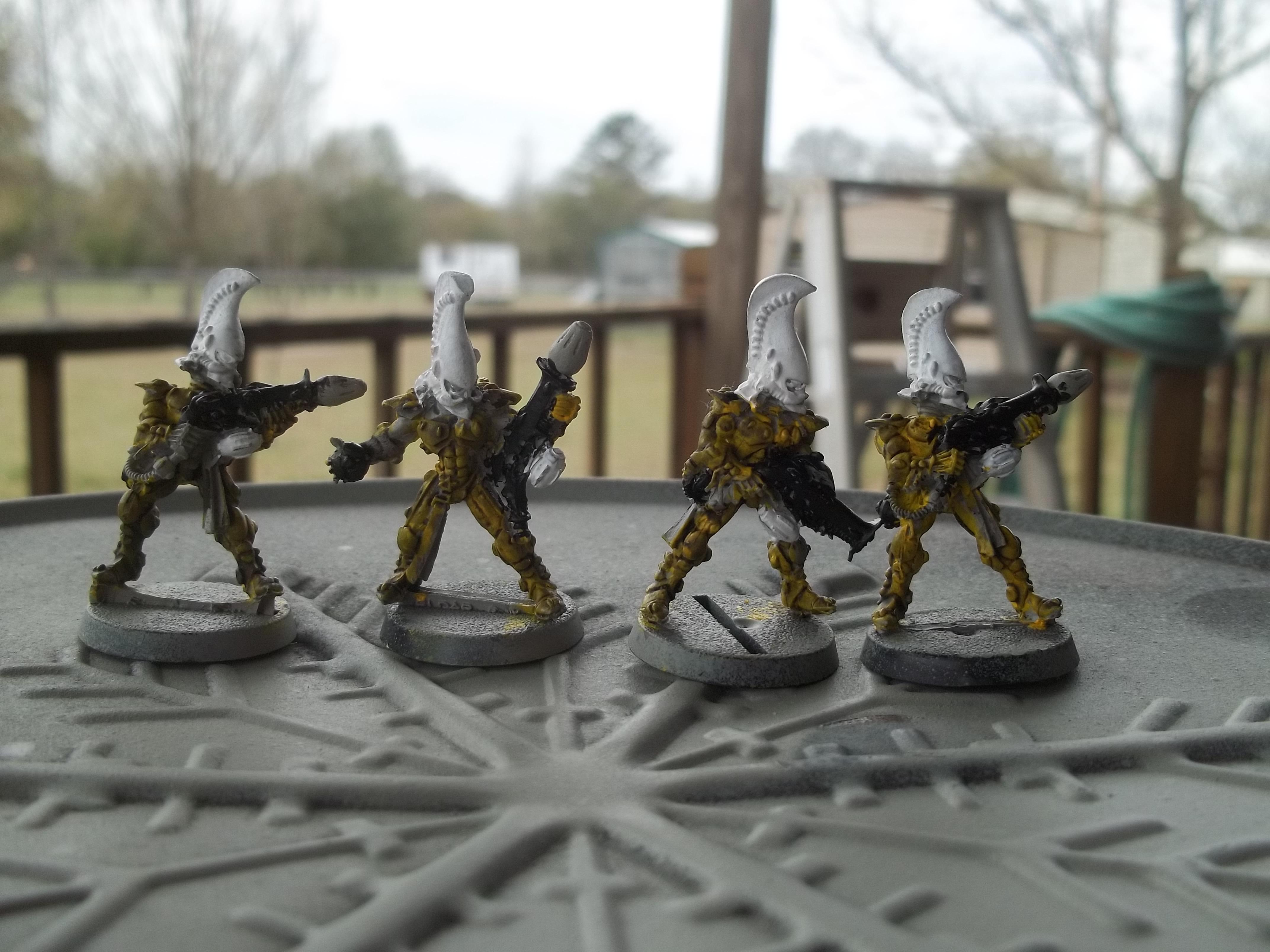 Fire Dragons Wip