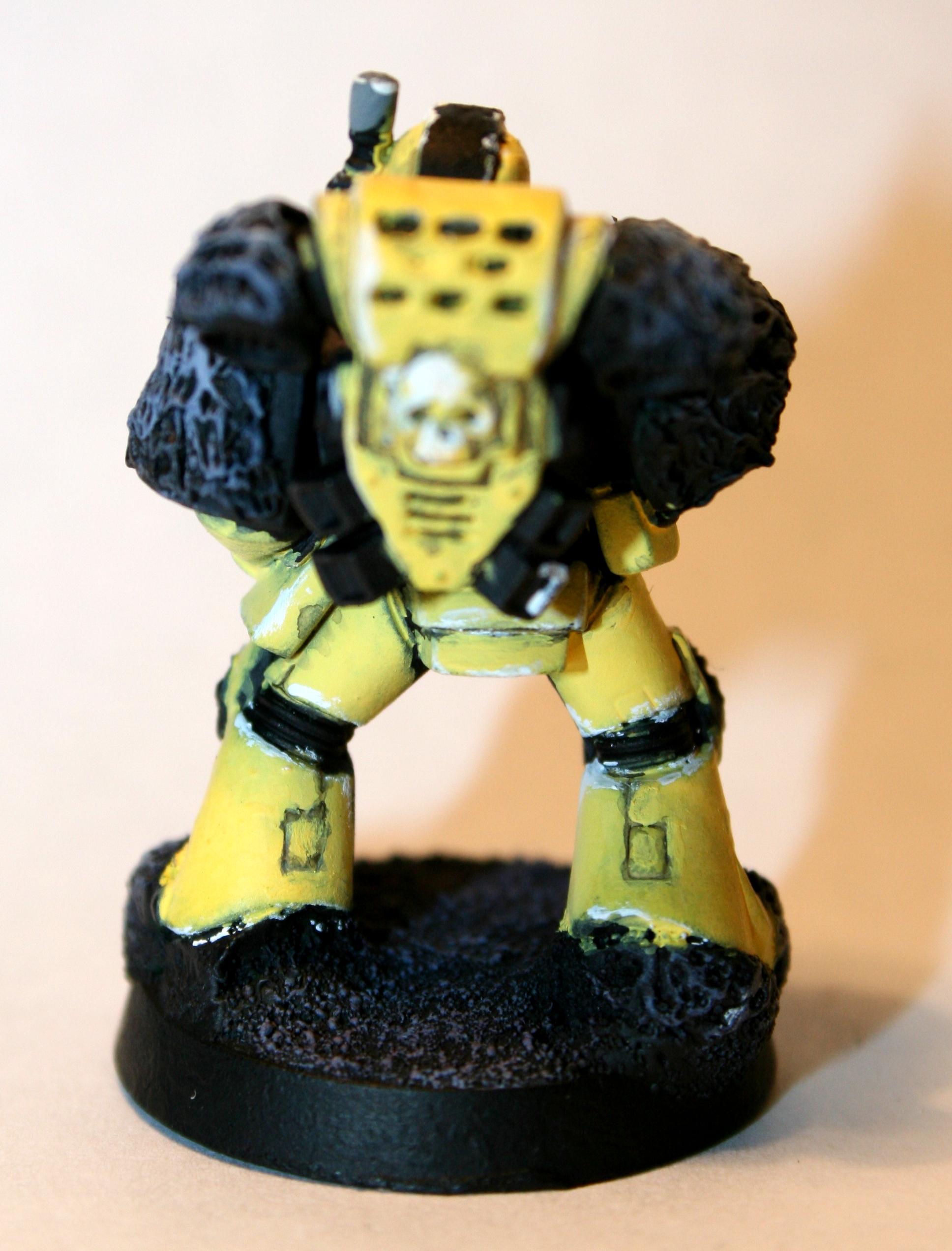 Fur, Fuzzy, Space Marines, Yellow