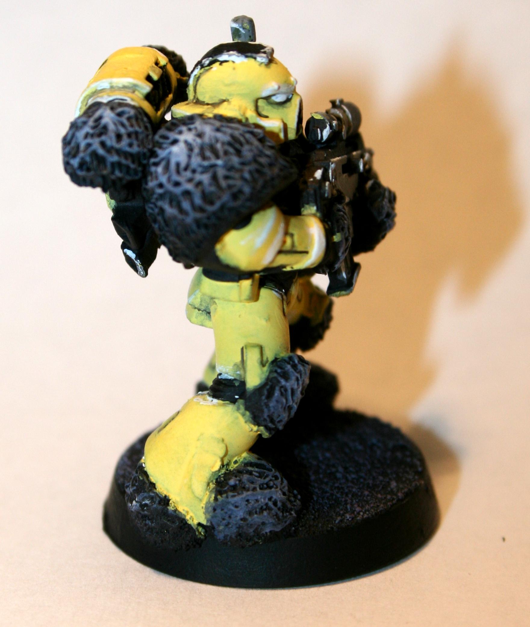 Fur, Fuzzy, Space Marines, Yellow