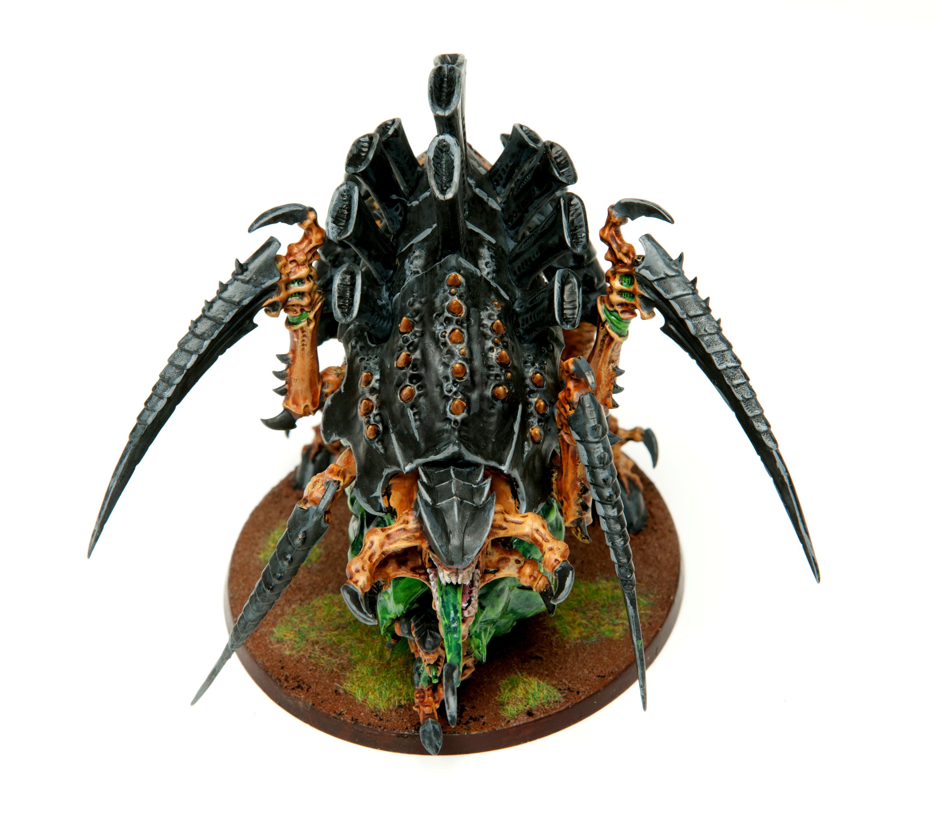 Carnifex%3f, Carnifex?, Tyranids, Wash