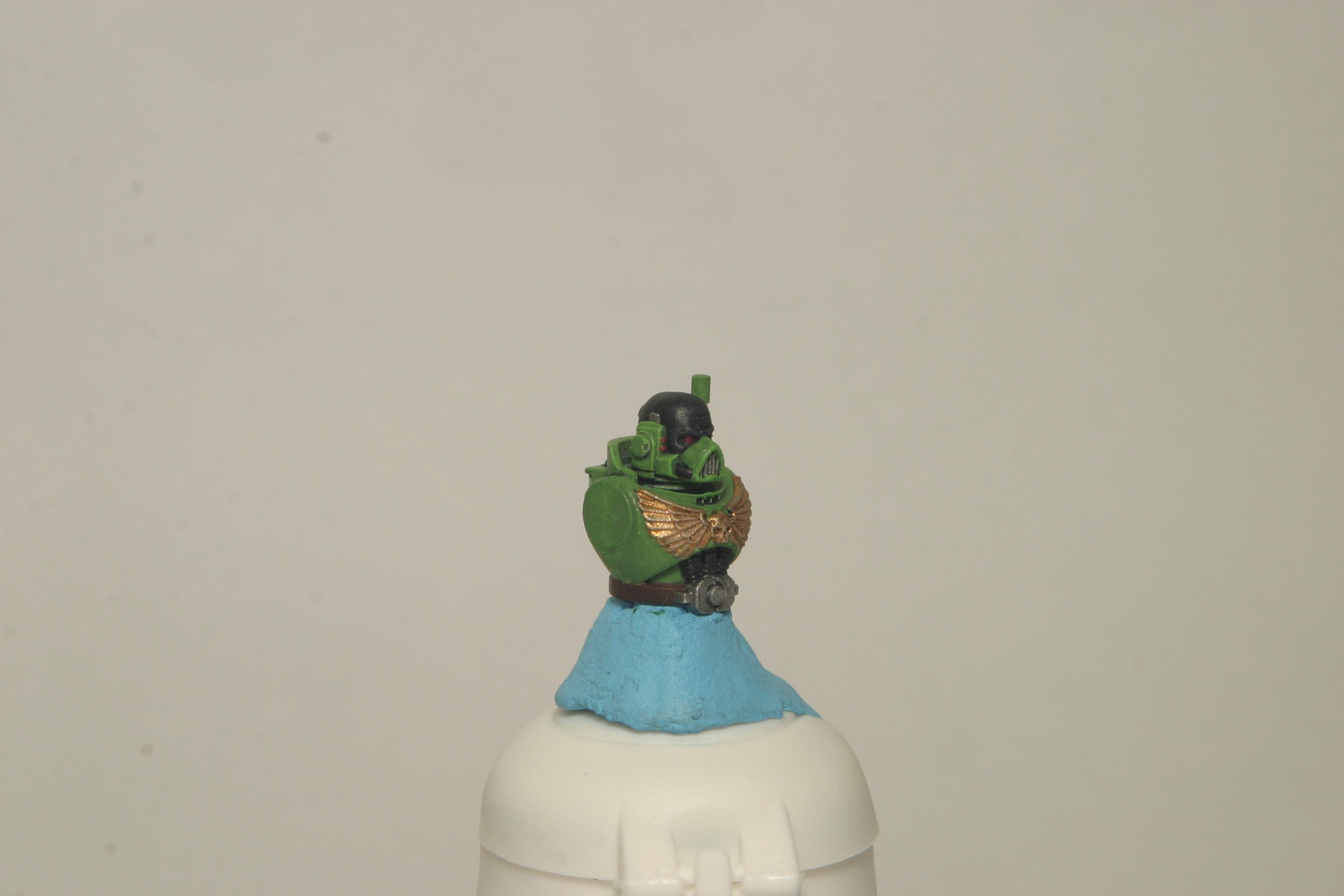 salamanders skin 2