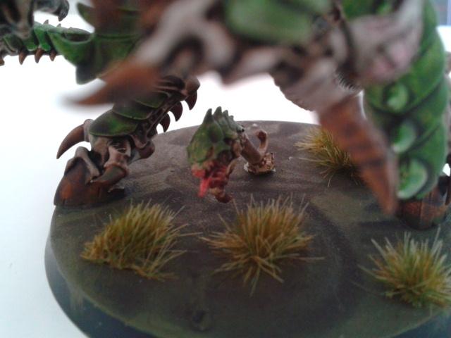 Tyranid Hive Fleet Cthulhu Trygon Swarmlord Tervigon Guard Doom Of Malan'tai
