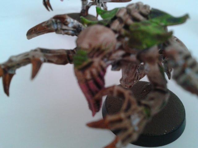 Tyranid Hive Fleet Cthulhu Trygon Swarmlord Tervigon Guard Doom Of Malan%27tai, Tyranid Hive Fleet Cthulhu Trygon Swarmlord Tervigon Guard Doom Of Malan'tai