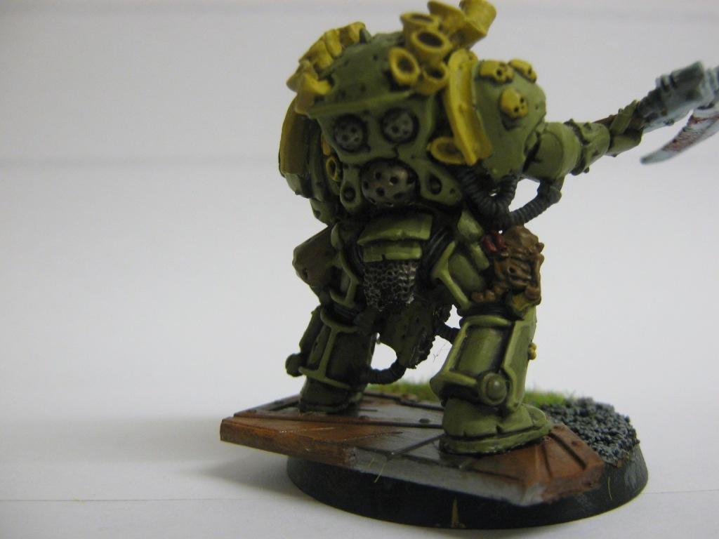 typhus angle