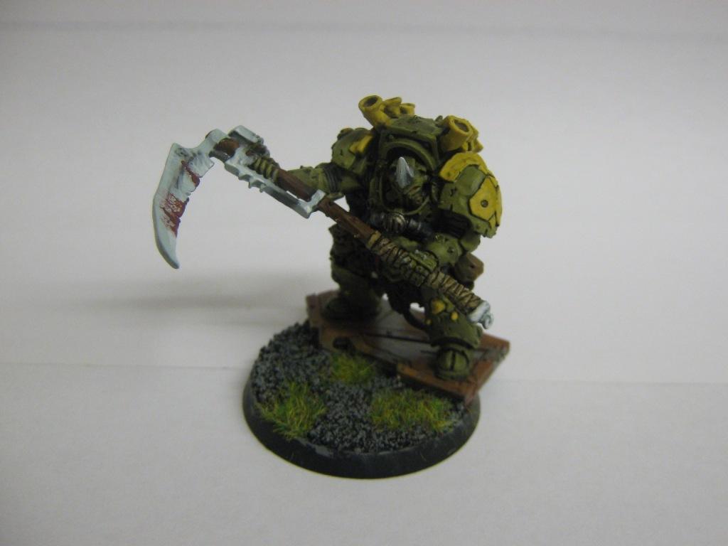 typhus top