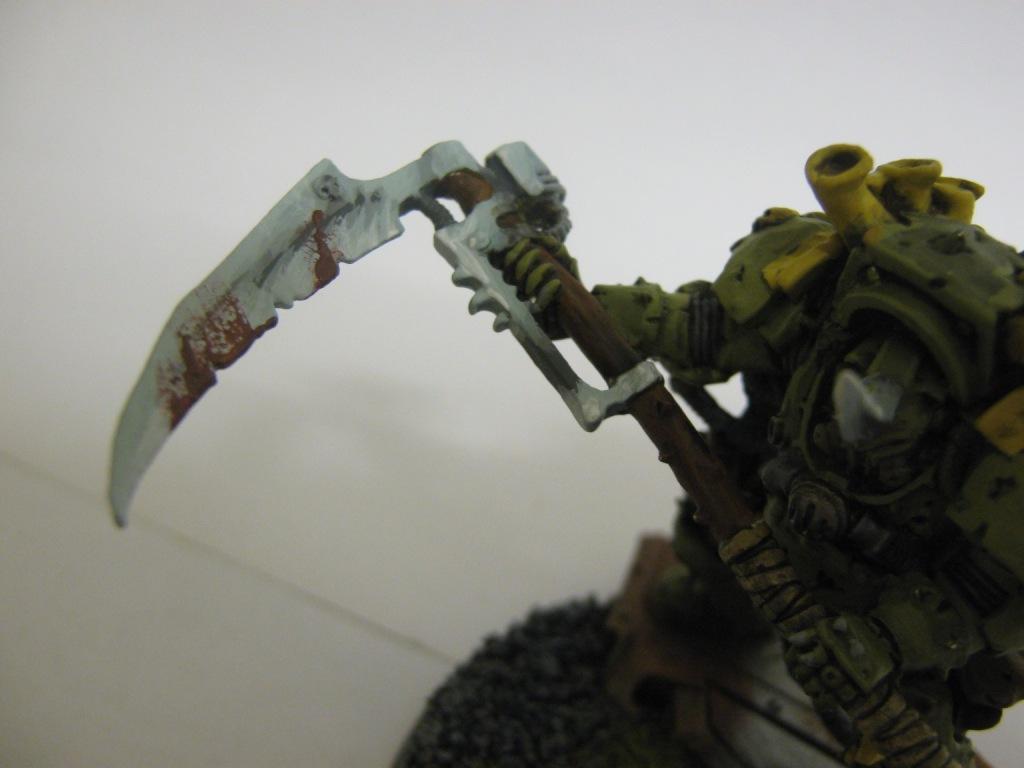 typhus close