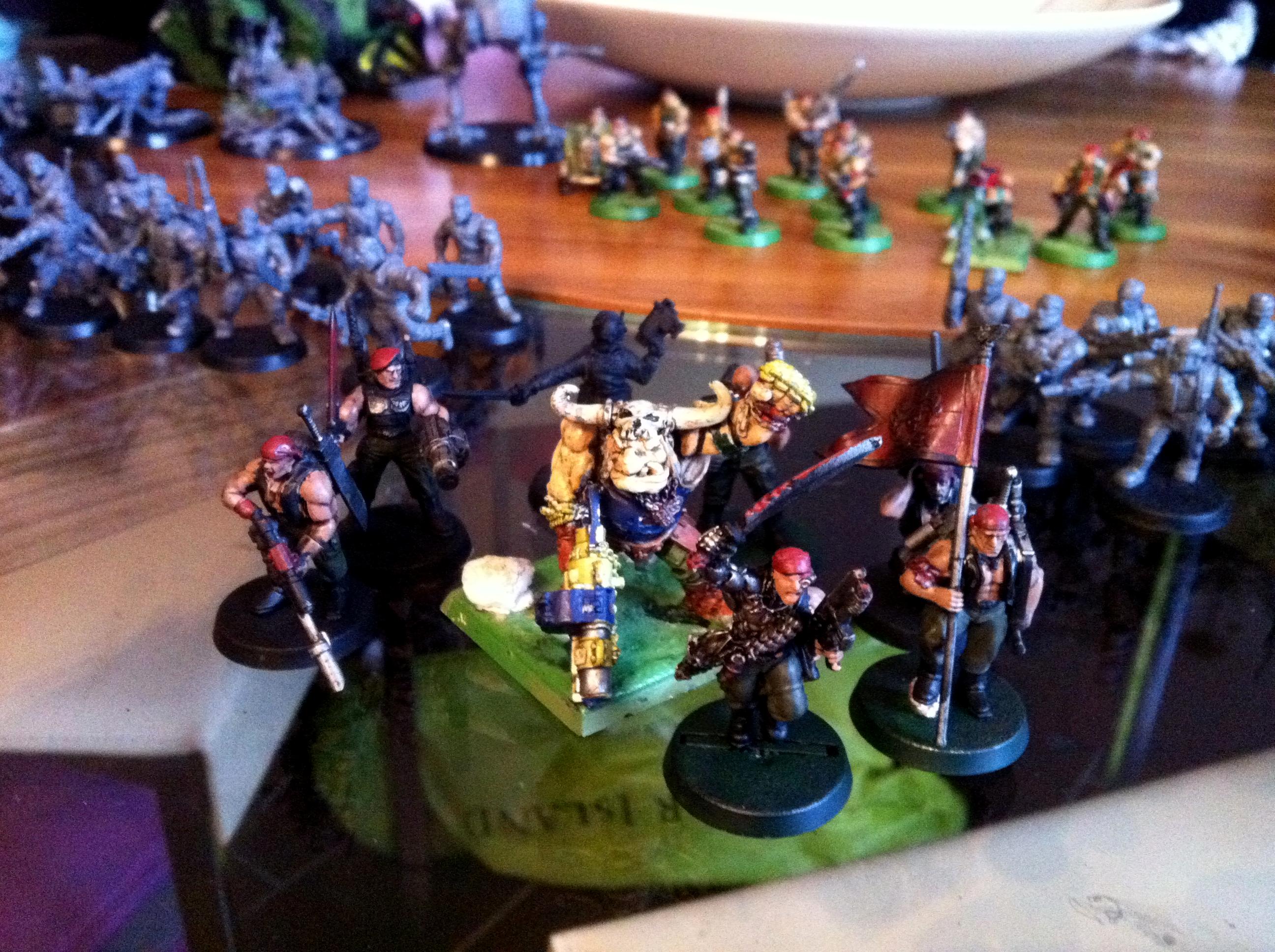 Command Squad, Imperial Guard, Ogryns