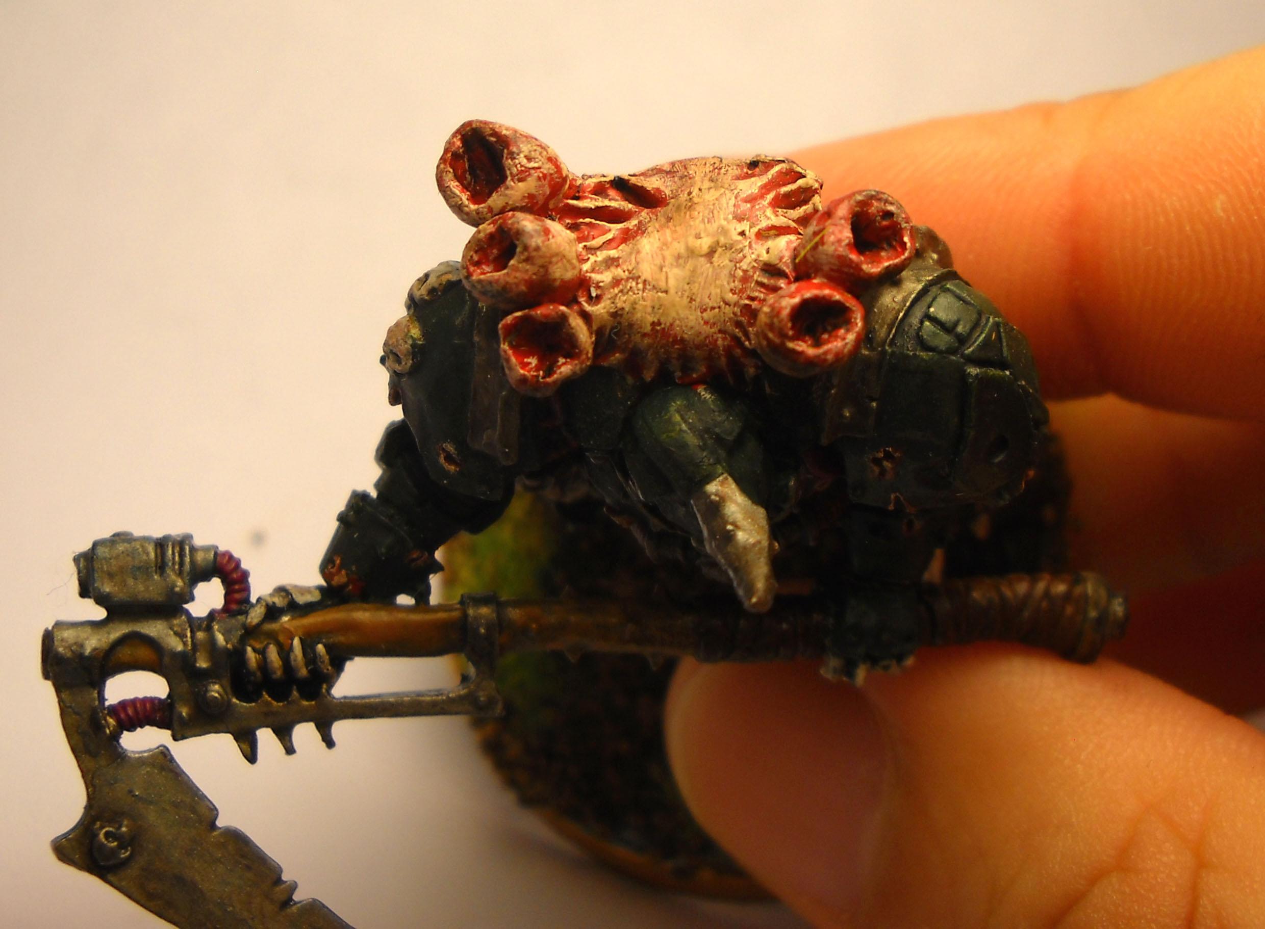 Chaos Space Marines, Terminator Lord, Typhus