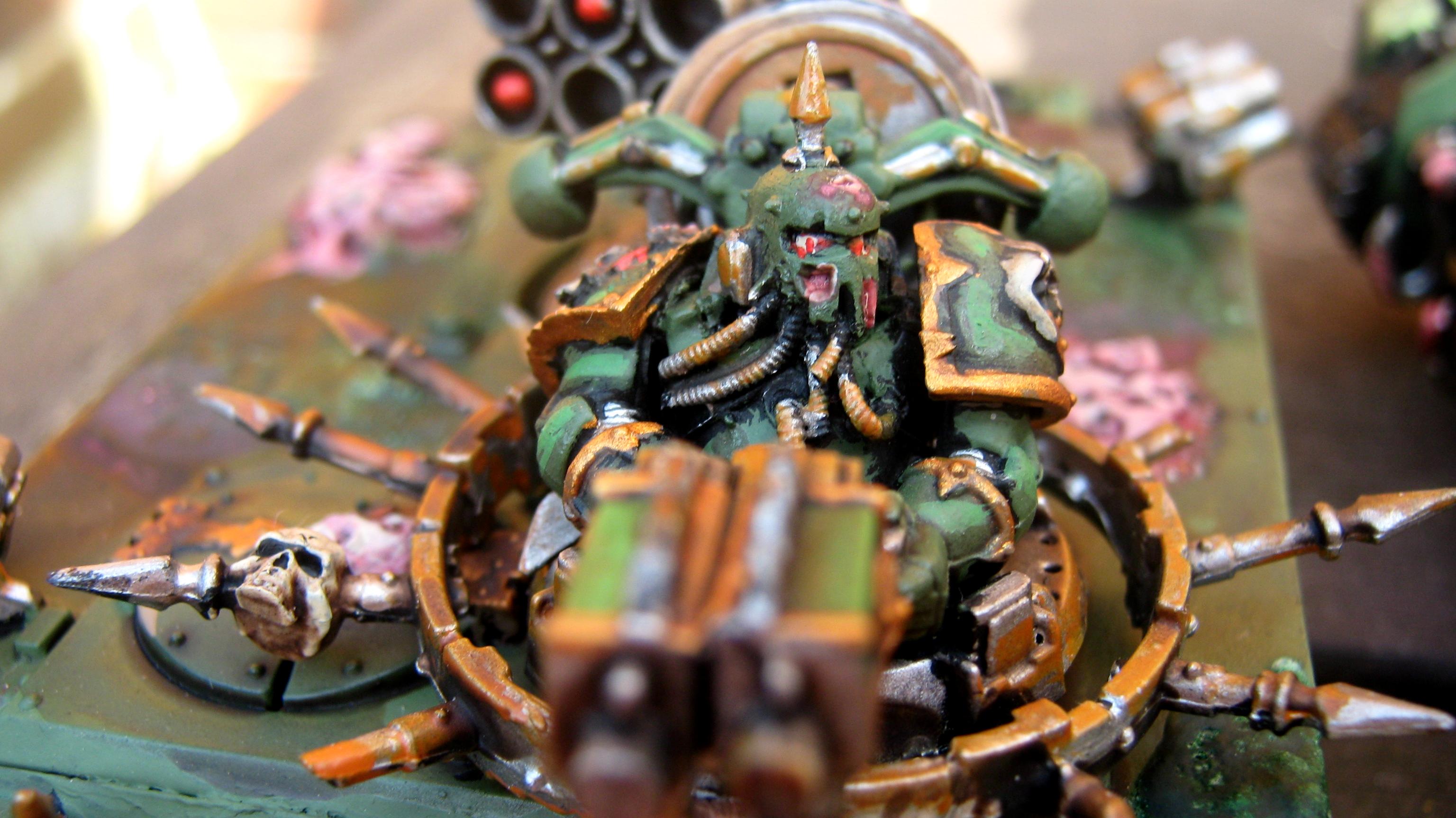 Rhino 1