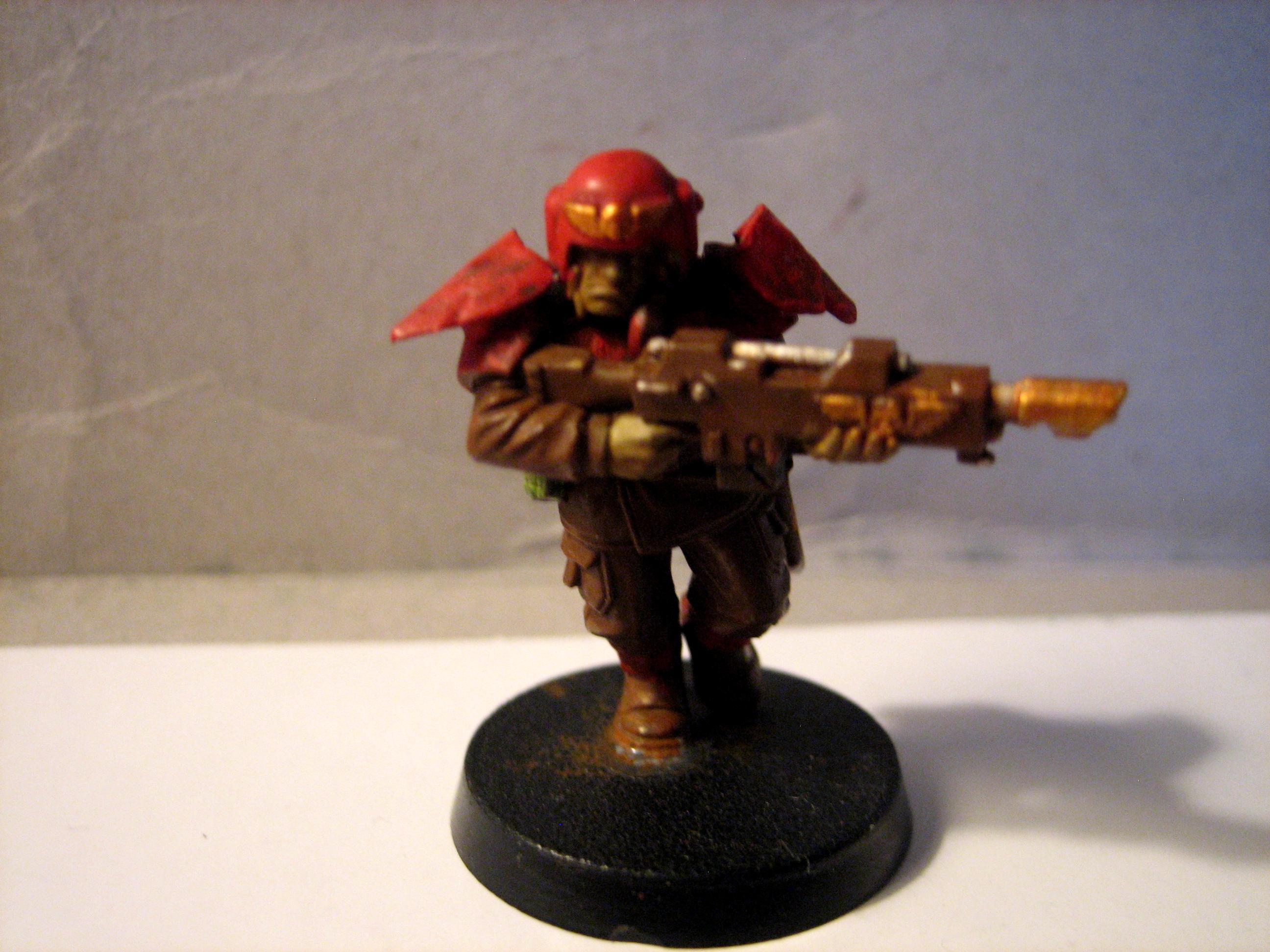 Imperial Guard, Painting
