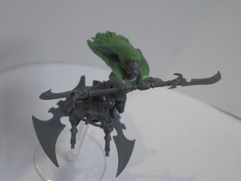 Baron Sathonyx, Dark Eldar, Hellions