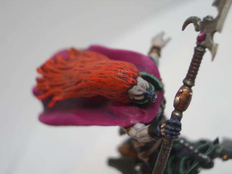 Baron Sathonyx, Dark Eldar, Hellions